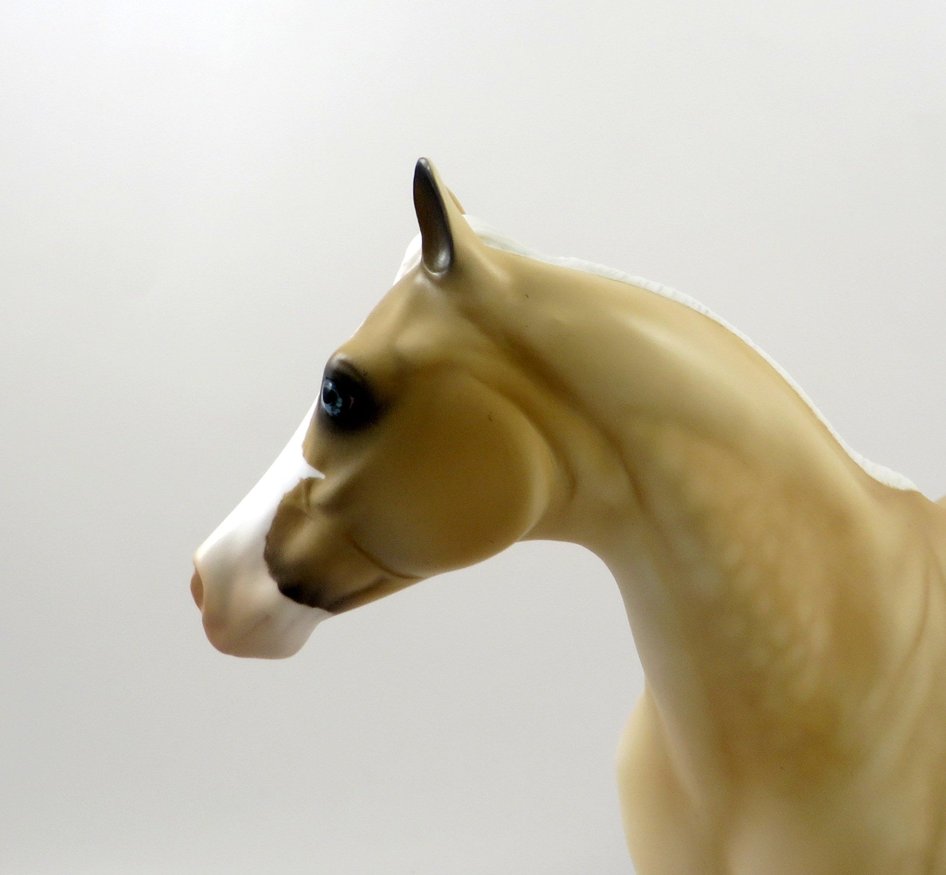 COOKIE MONSTER-OOAK DAPPLE PALOMINO ISH MODEL HORSE 7/26/19