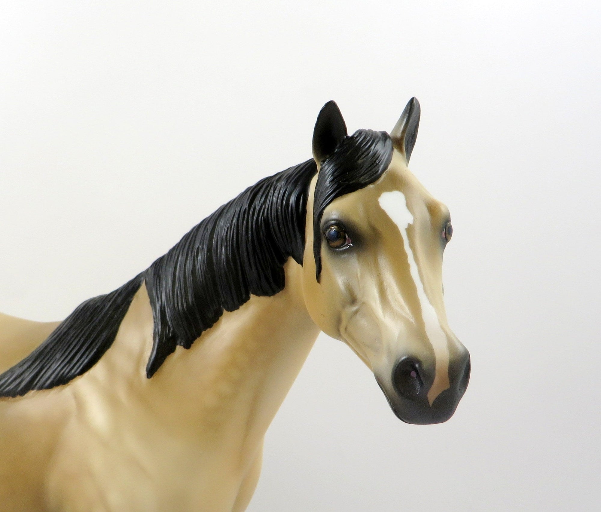 CASHMAN-OOAK DAPPLE BUCKSKIN ISH MODEL HORSE BY AUDREY DIXON 7/26/19