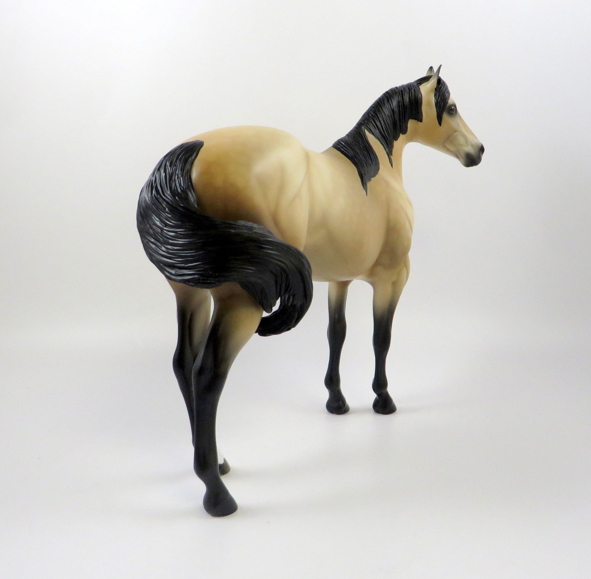 CASHMAN-OOAK DAPPLE BUCKSKIN ISH MODEL HORSE BY AUDREY DIXON 7/26/19