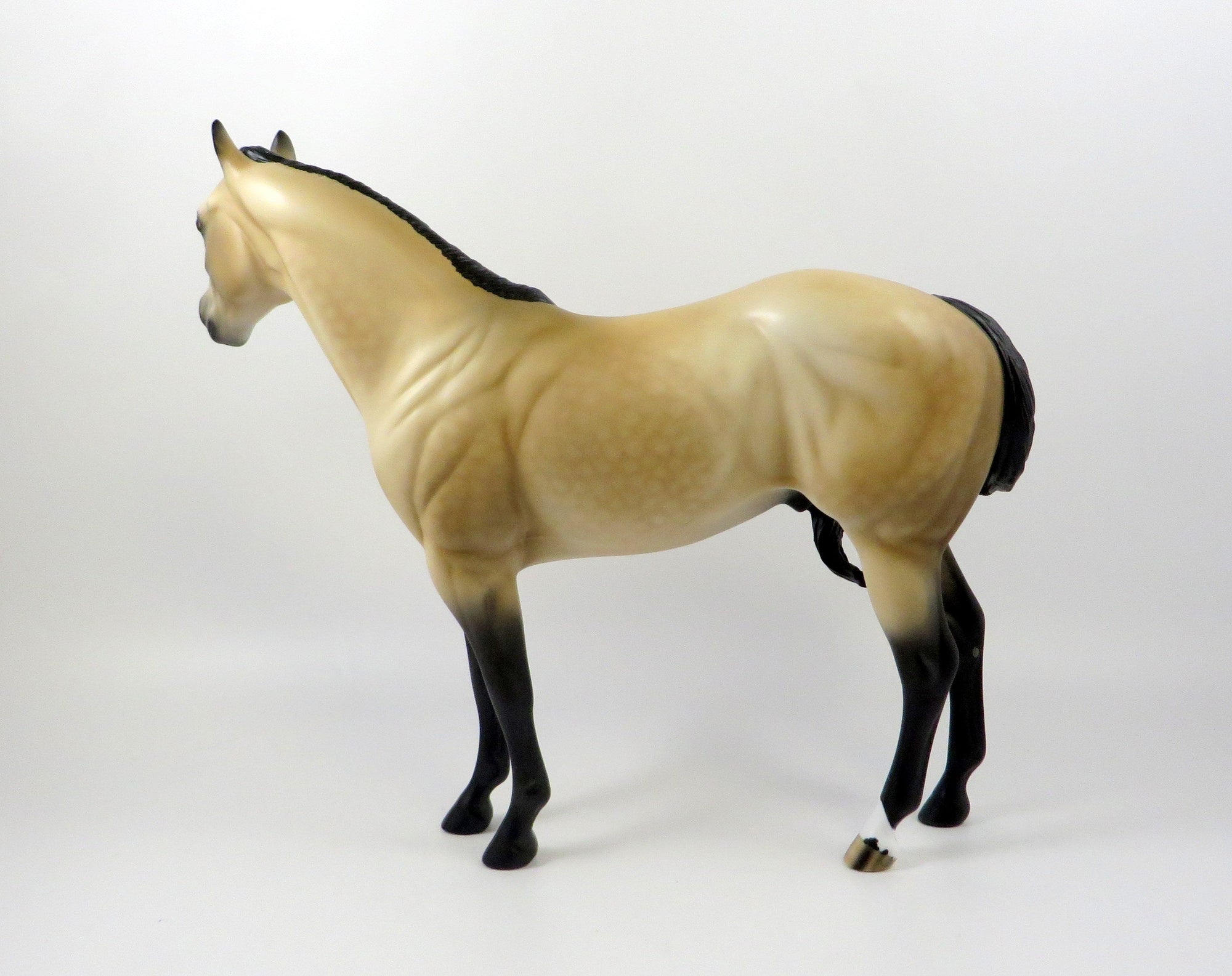 CASHMAN-OOAK DAPPLE BUCKSKIN ISH MODEL HORSE BY AUDREY DIXON 7/26/19