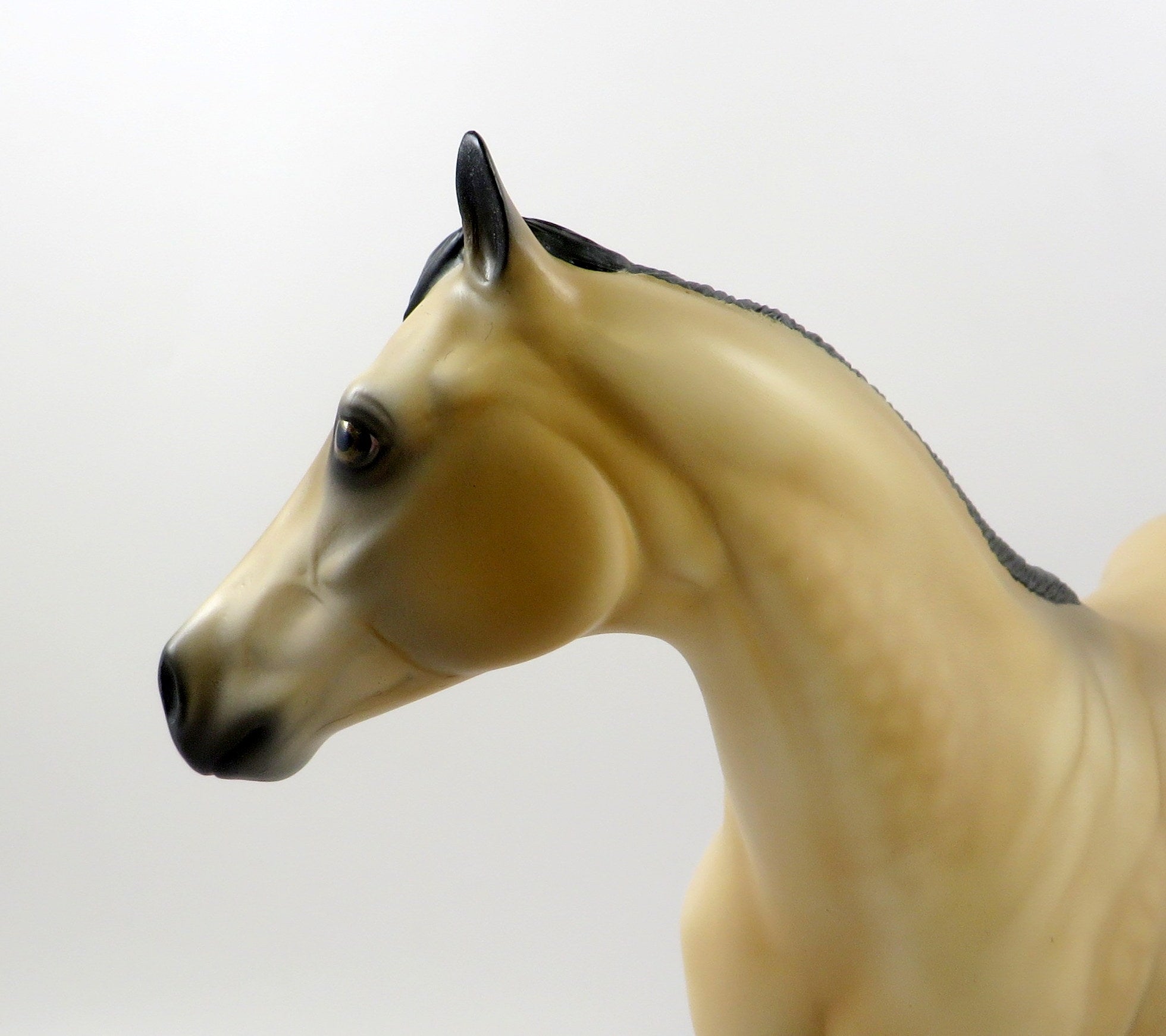 CASHMAN-OOAK DAPPLE BUCKSKIN ISH MODEL HORSE BY AUDREY DIXON 7/26/19