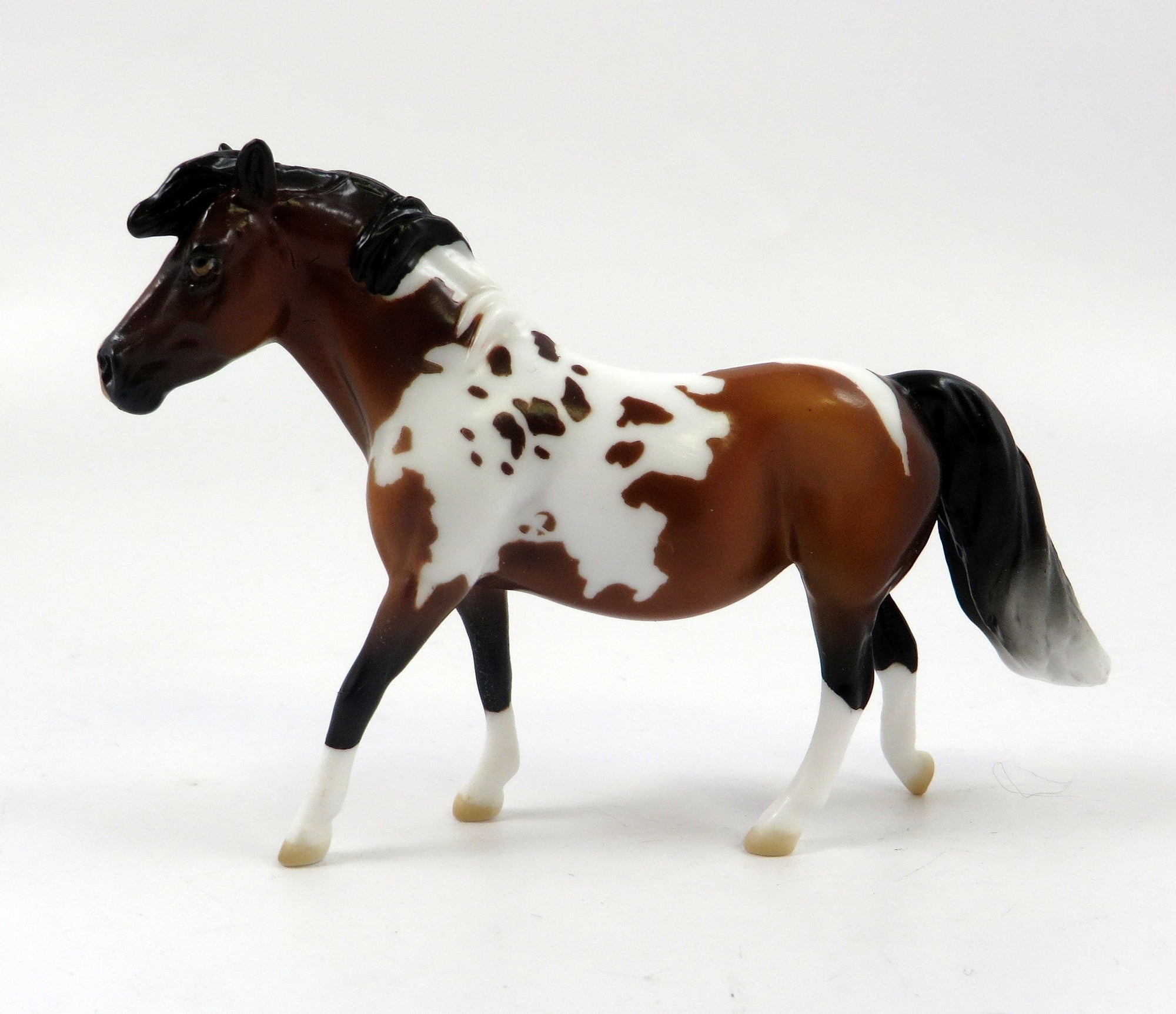 GUNTHER-OOAK BAY PINTO PONY CHIP-LHS 2019