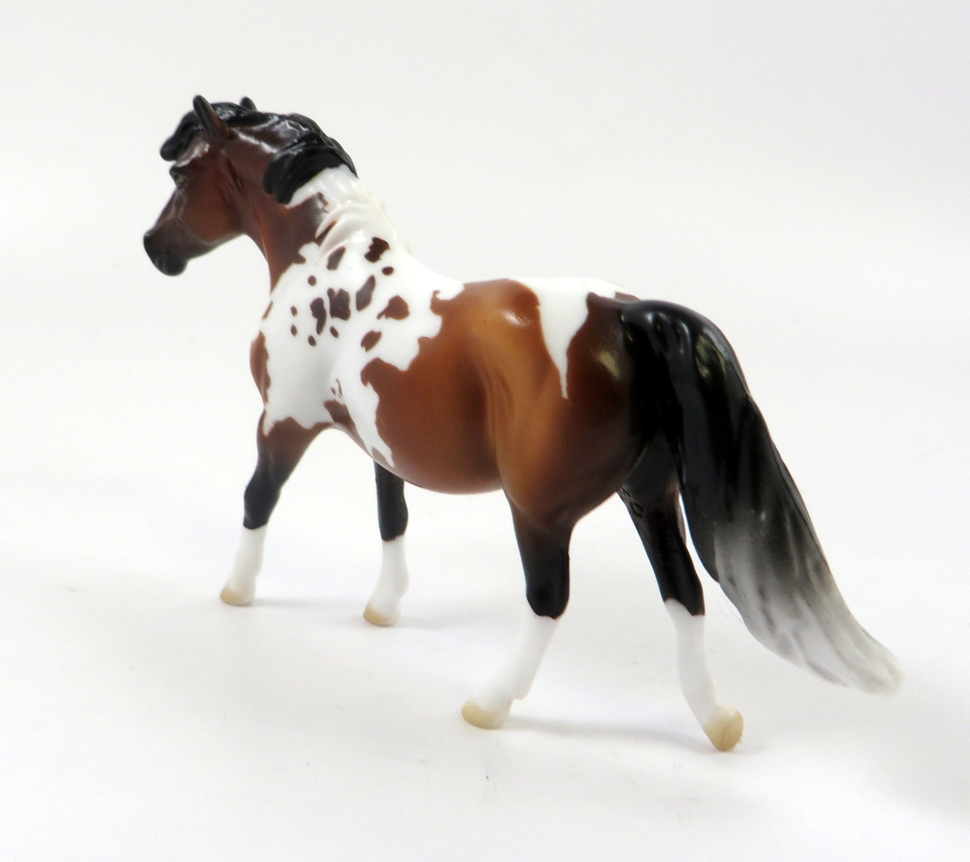 GUNTHER-OOAK BAY PINTO PONY CHIP-LHS 2019