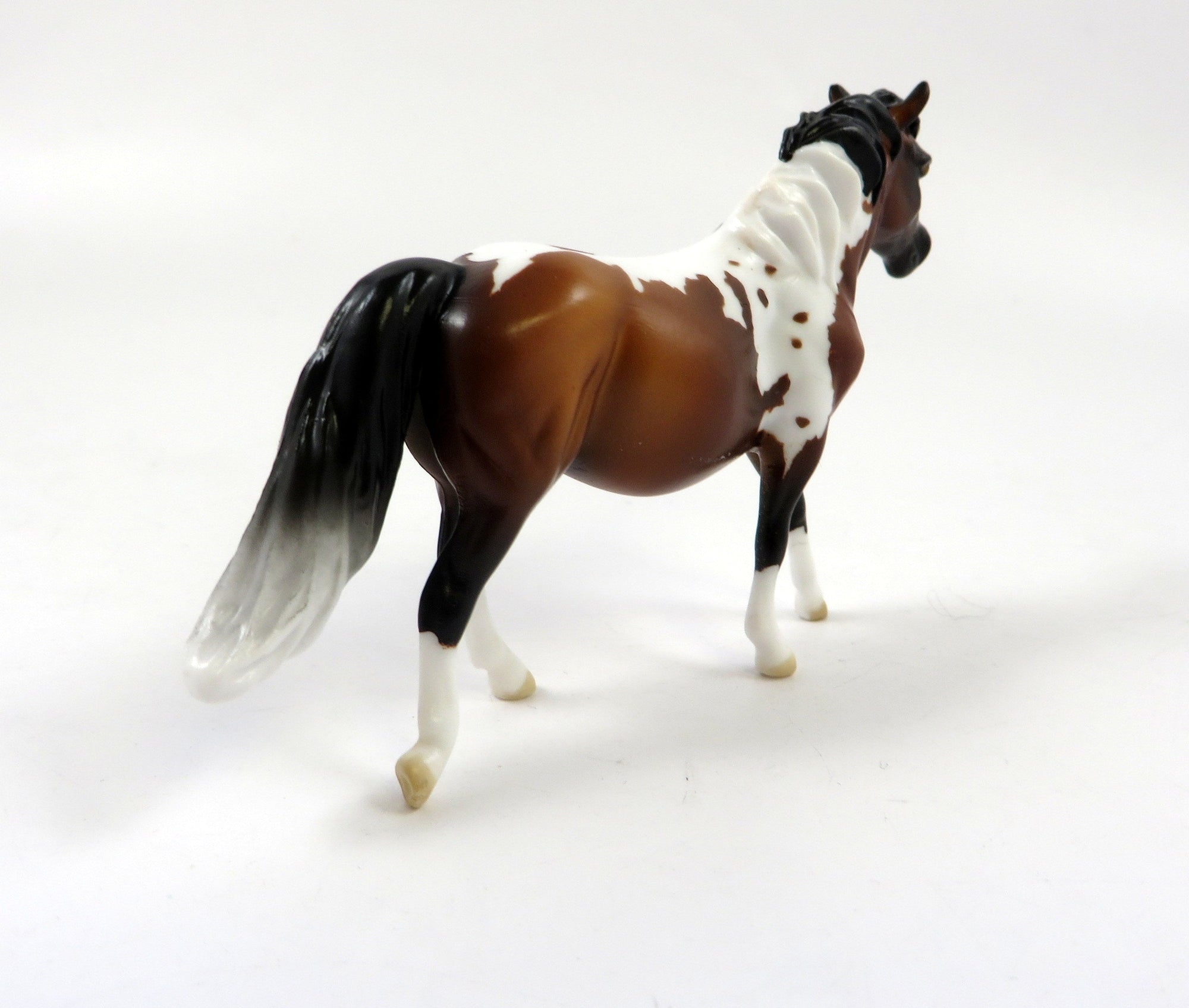 GUNTHER-OOAK BAY PINTO PONY CHIP-LHS 2019