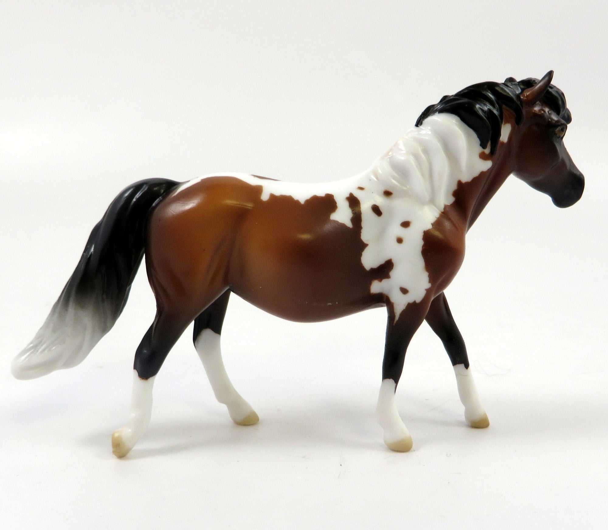GUNTHER-OOAK BAY PINTO PONY CHIP-LHS 2019