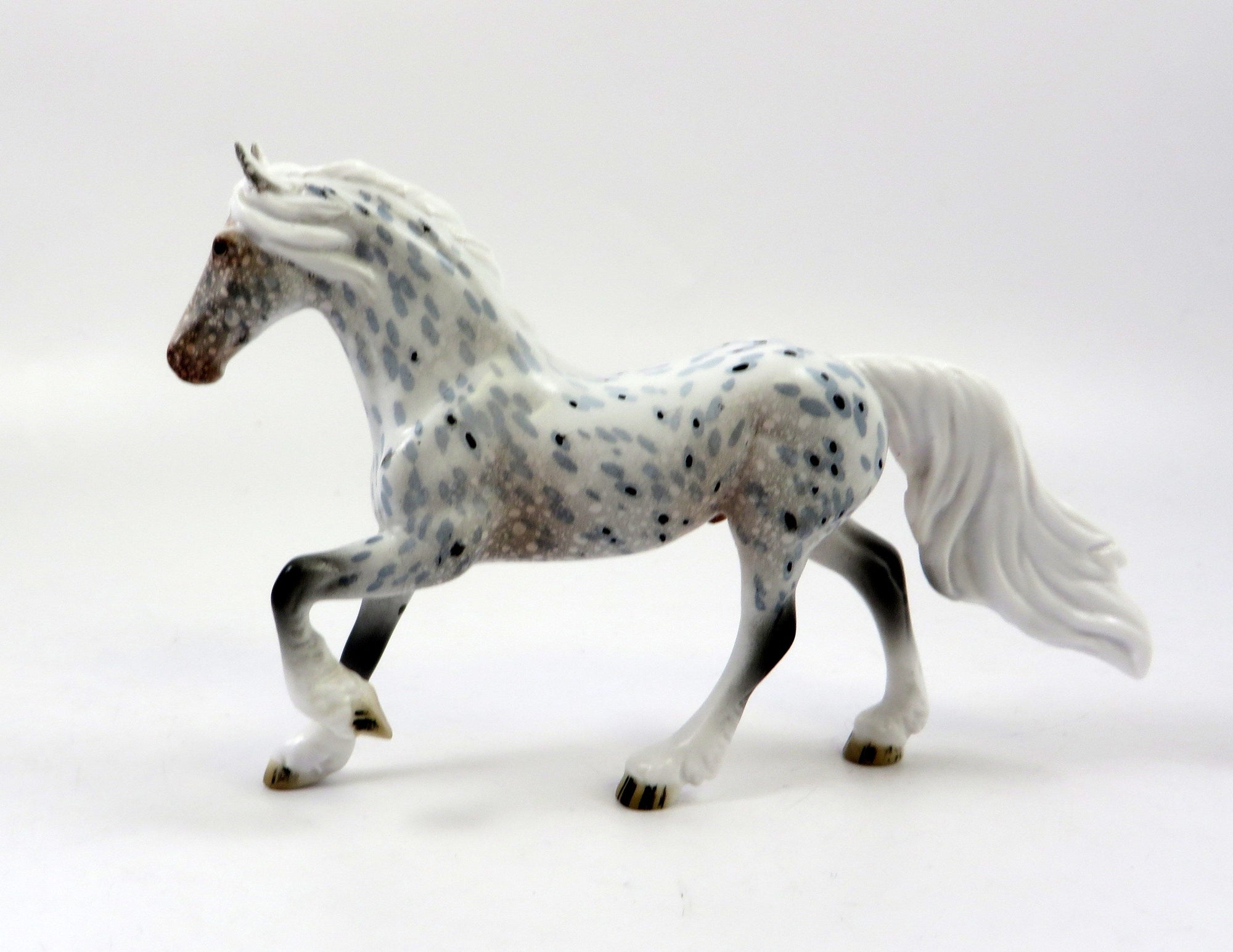 VICTOR-OOAK LOUD APPALOOSA FRESIAN CHIP LHS 2019