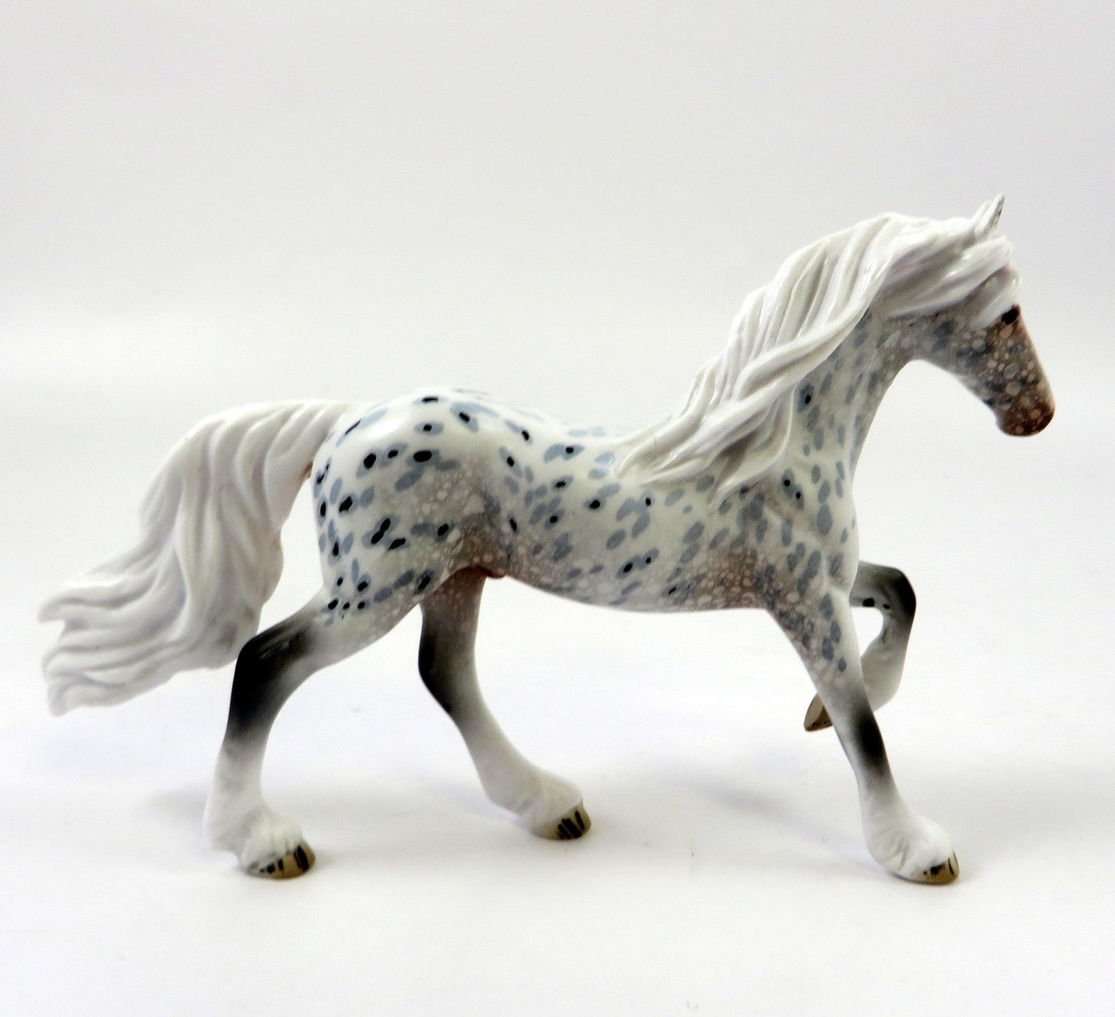 Appaloosa