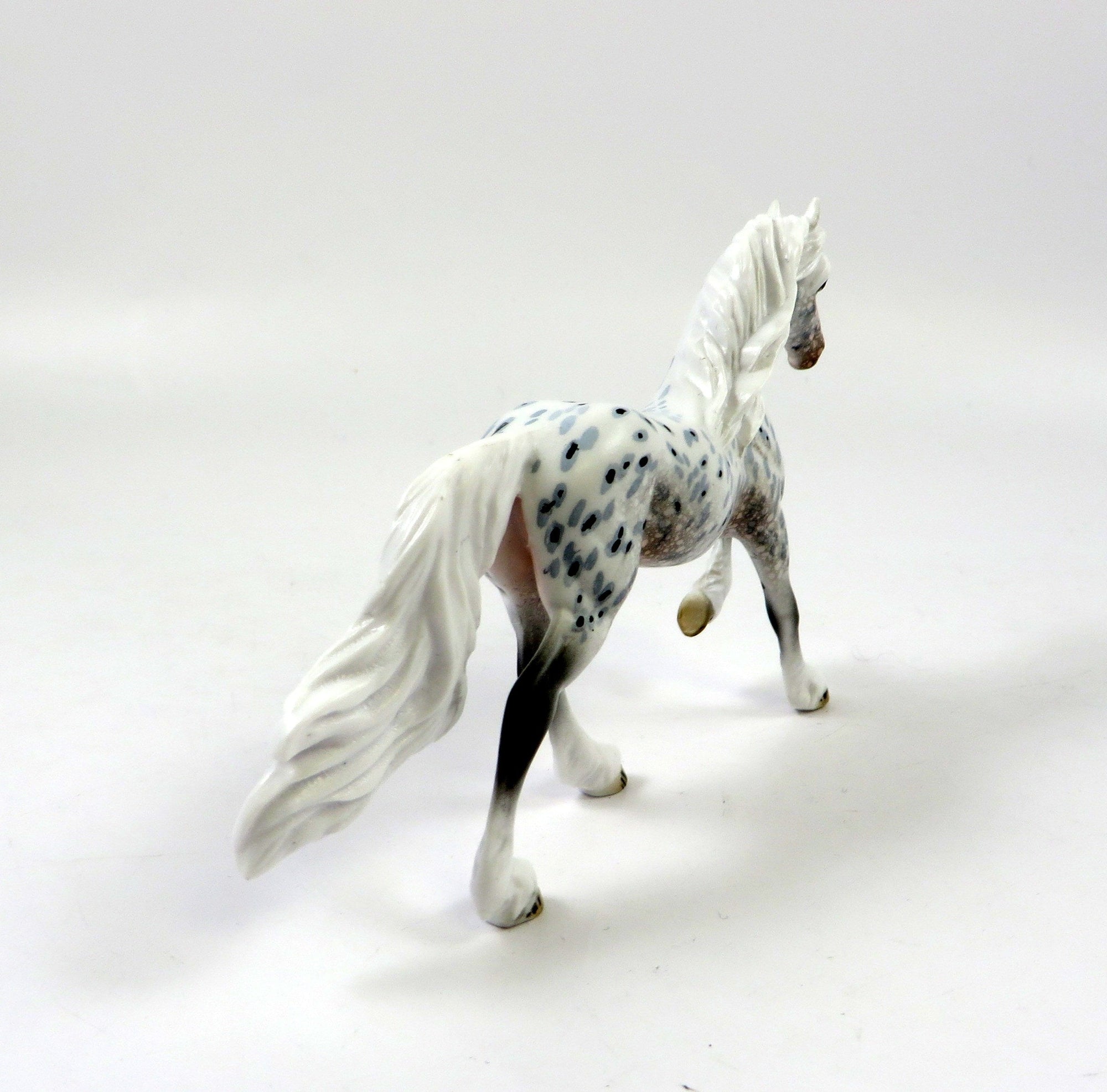 VICTOR-OOAK LOUD APPALOOSA FRESIAN CHIP LHS 2019
