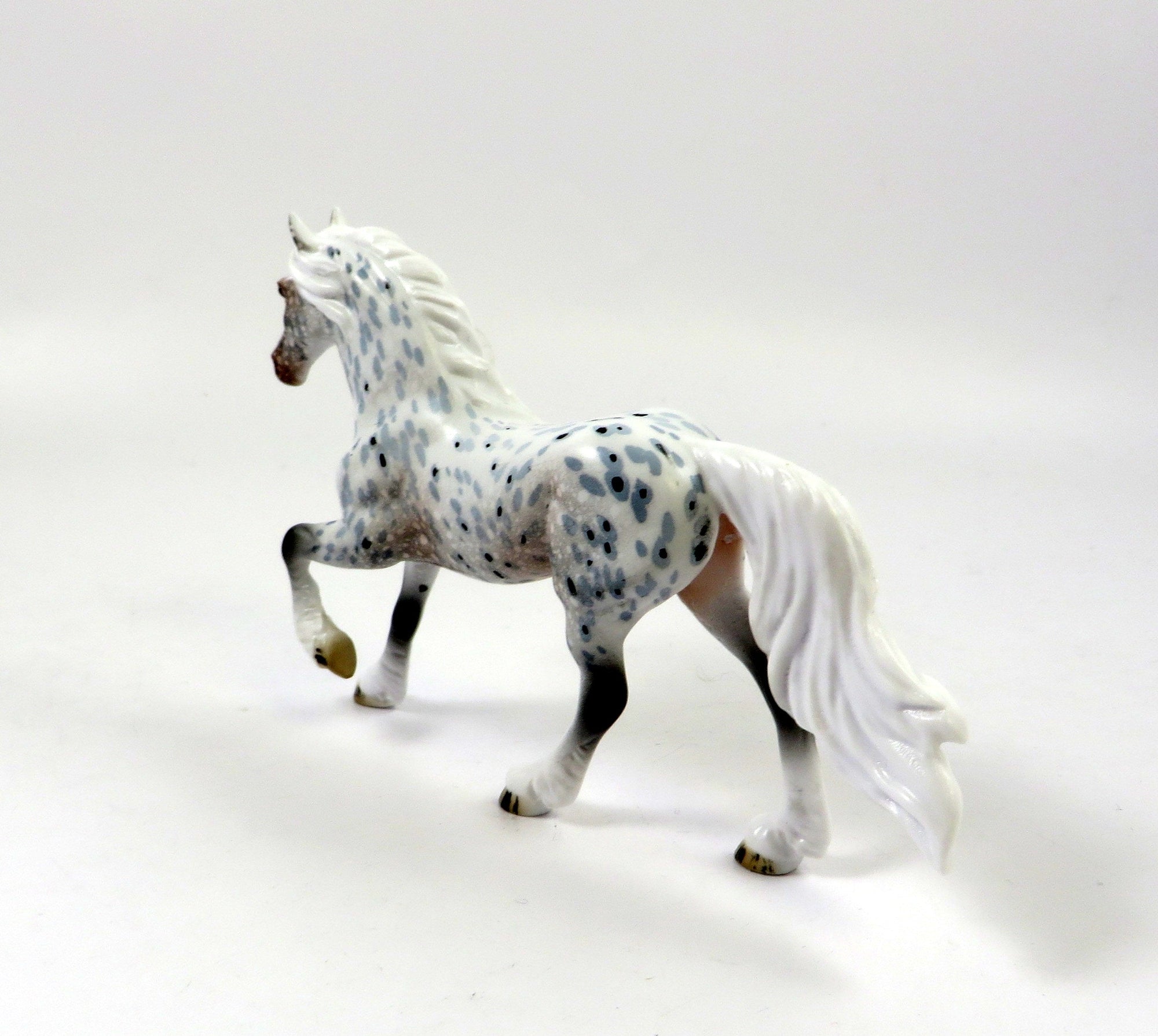 VICTOR-OOAK LOUD APPALOOSA FRESIAN CHIP LHS 2019