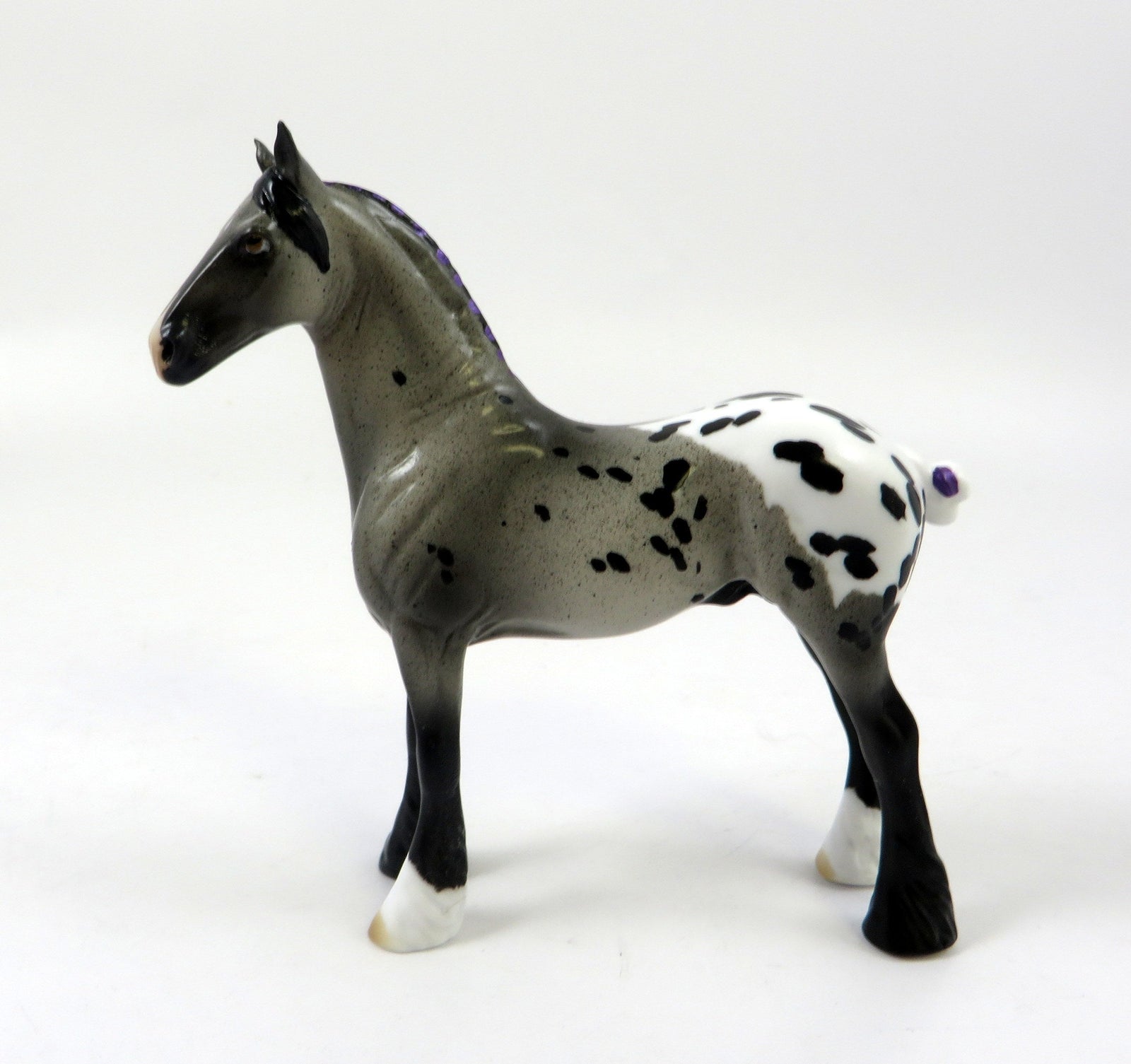 ALADIN-OOAK APPALOOSA STANDING DRAFT CHIP LHS 2019