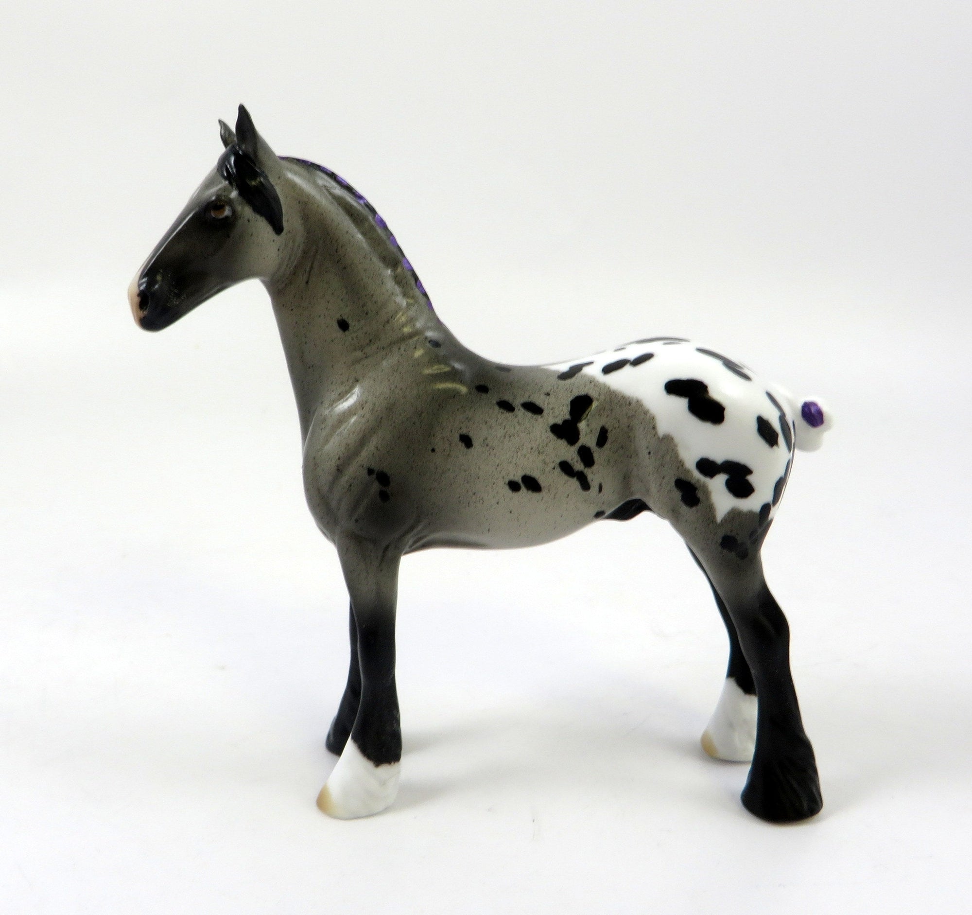 ALADIN-OOAK APPALOOSA STANDING DRAFT CHIP LHS 2019