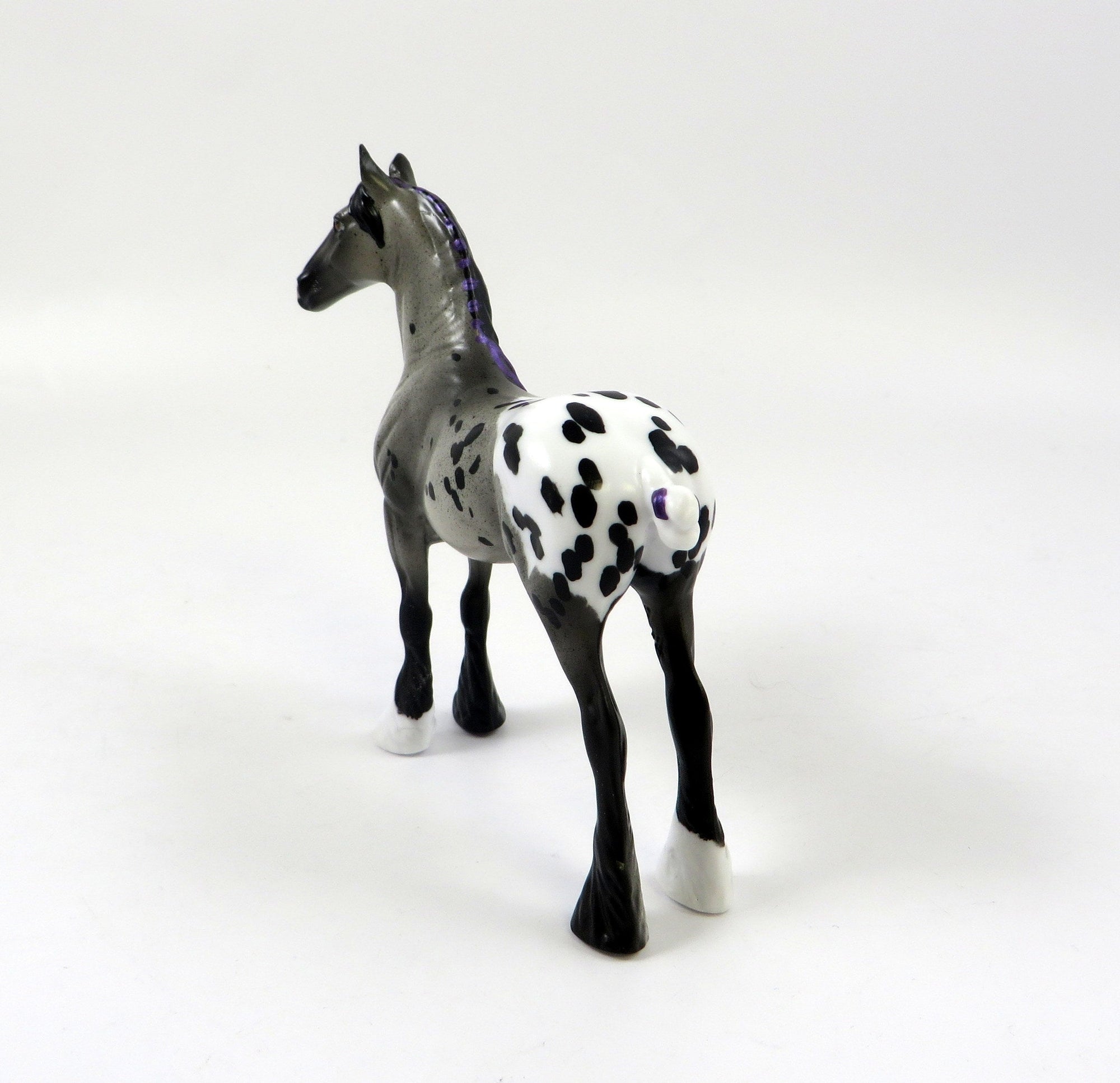 ALADIN-OOAK APPALOOSA STANDING DRAFT CHIP LHS 2019