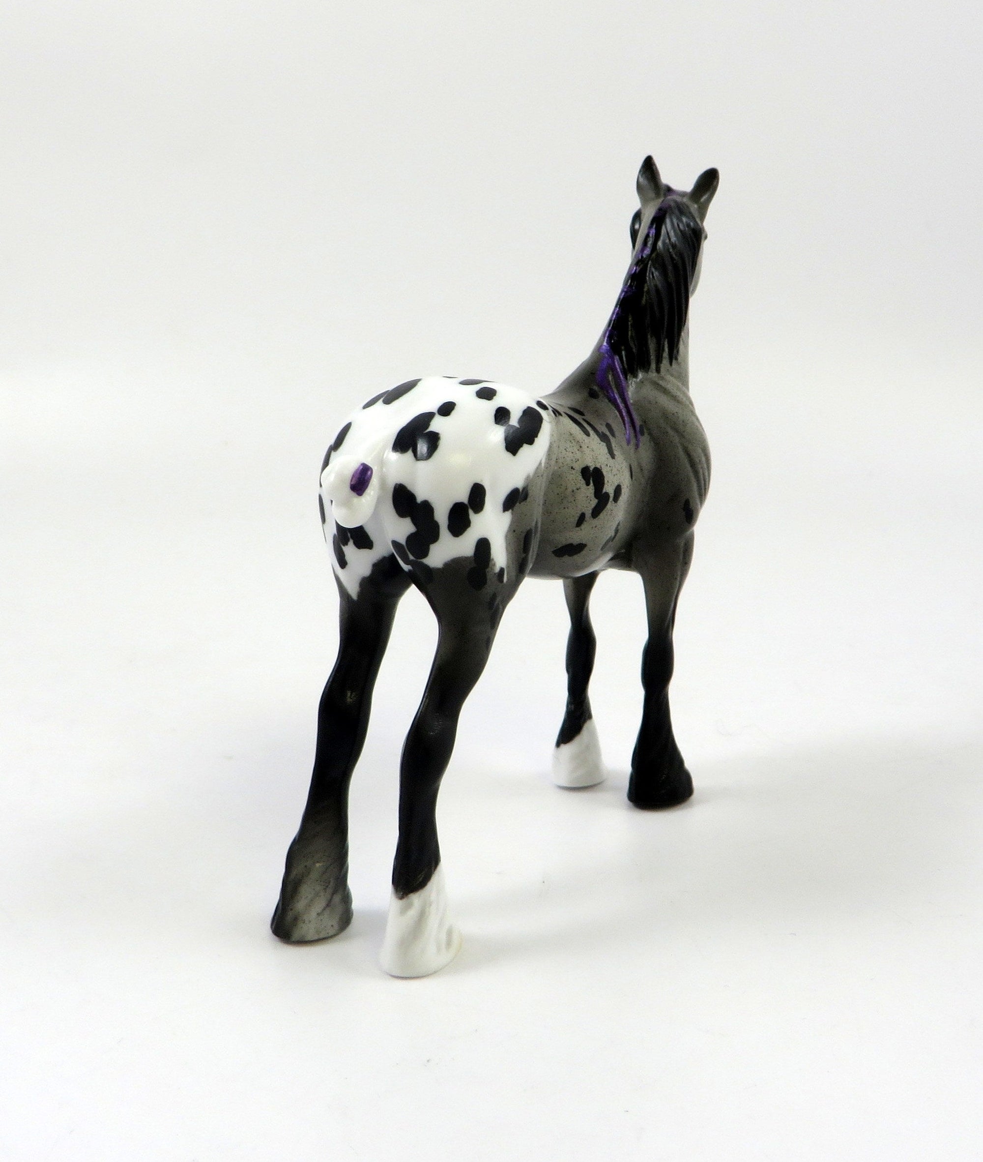 ALADIN-OOAK APPALOOSA STANDING DRAFT CHIP LHS 2019