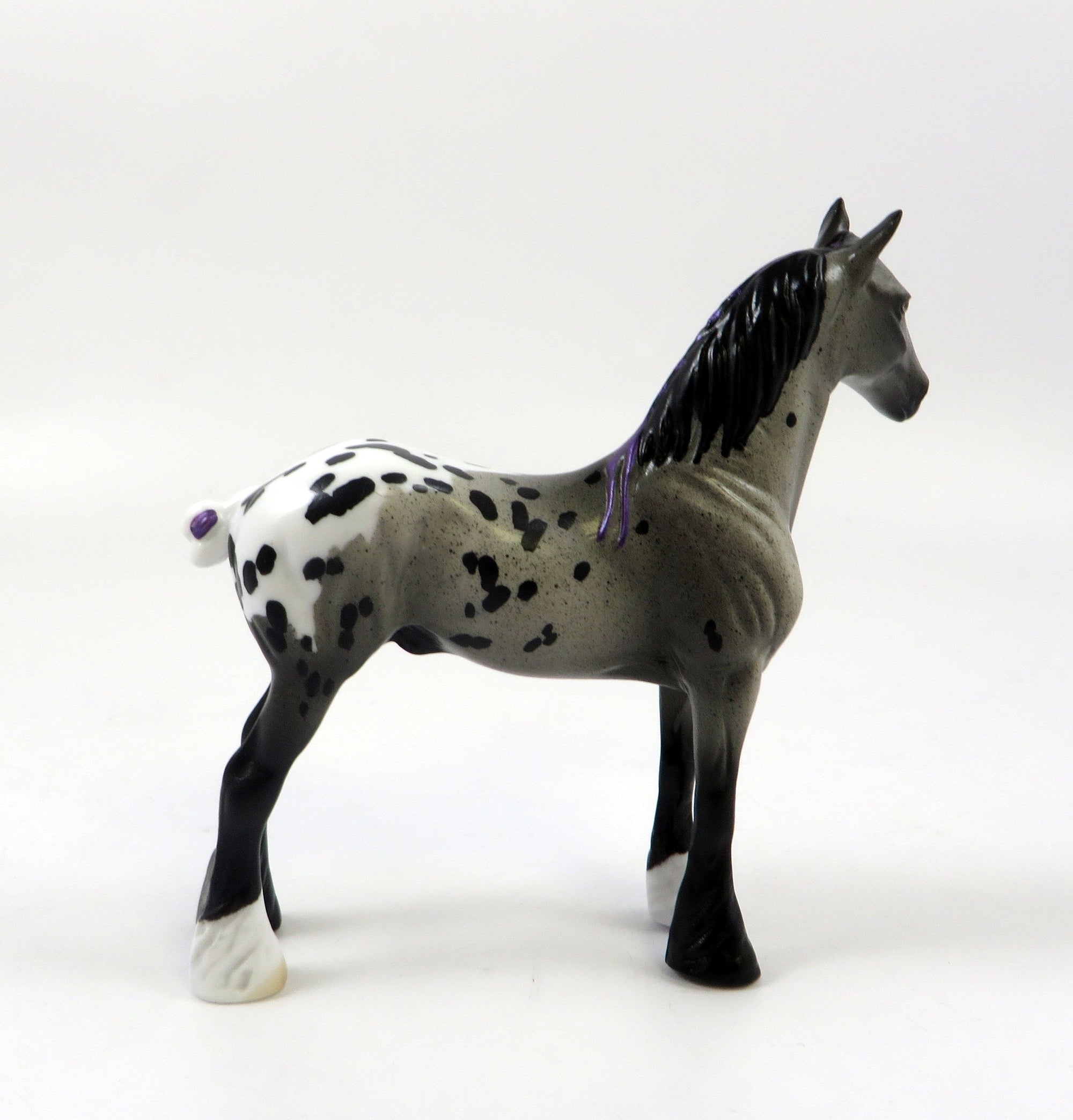 ALADIN-OOAK APPALOOSA STANDING DRAFT CHIP LHS 2019