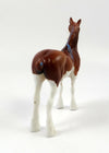 JUGGLER-OOAK CHESTNUT SPLASH STANDING DRAFT CHIP LHS 2019