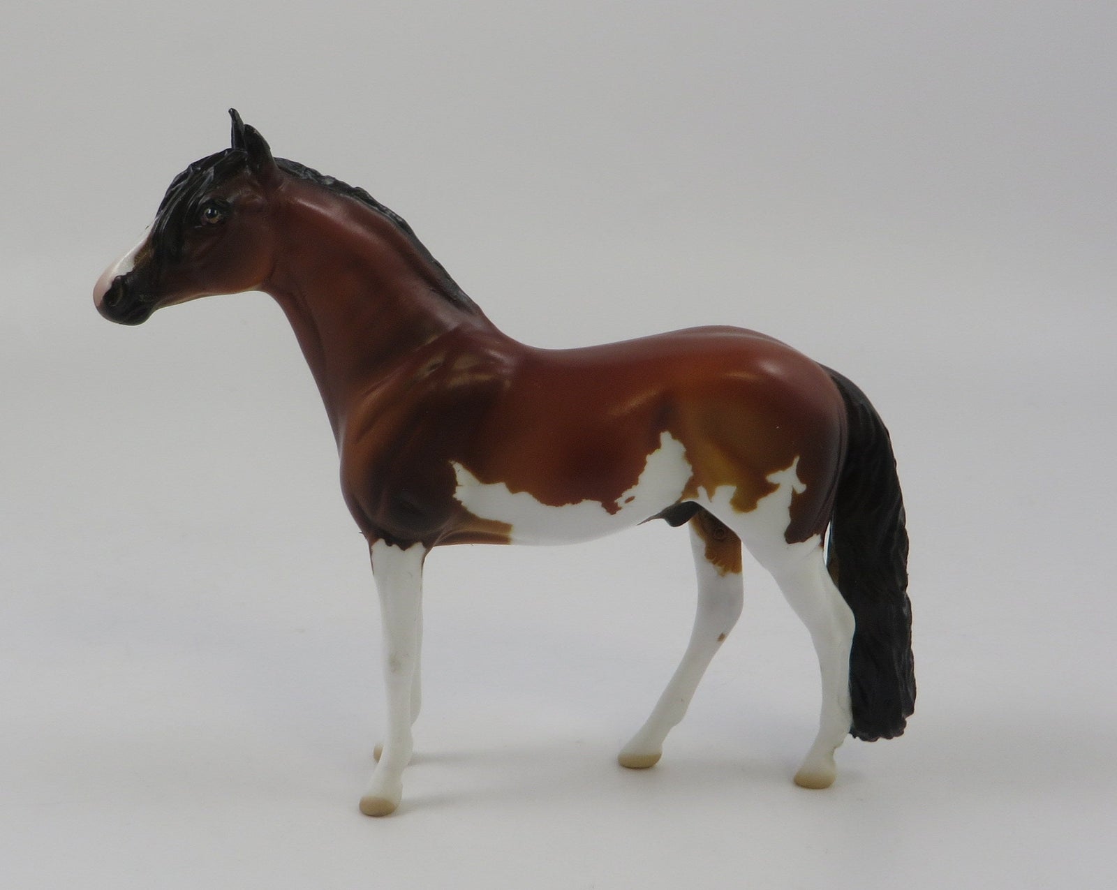 HIJINKS -OOAK BAY PINTO ANDALUSIAN CHIP LHS 2019