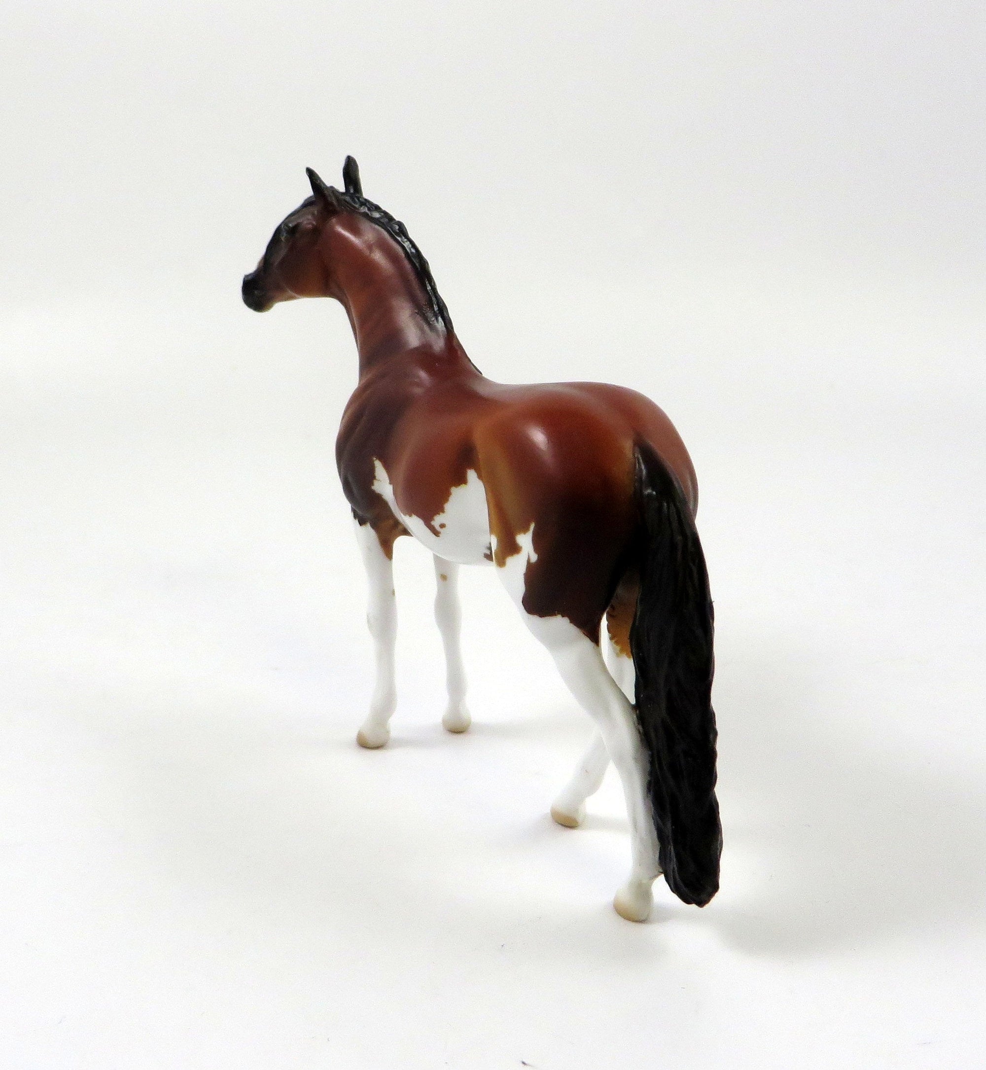 HIJINKS -OOAK BAY PINTO ANDALUSIAN CHIP LHS 2019