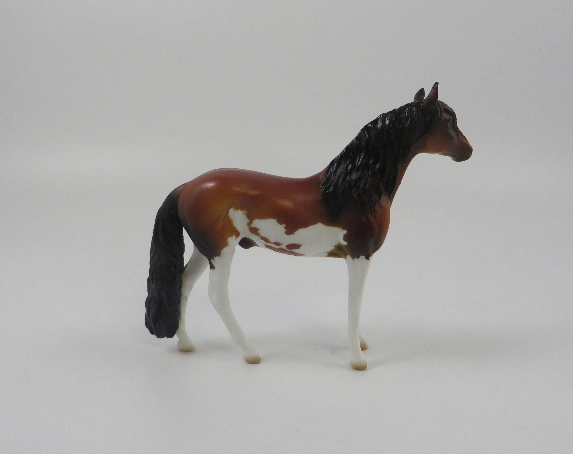HIJINKS -OOAK BAY PINTO ANDALUSIAN CHIP LHS 2019