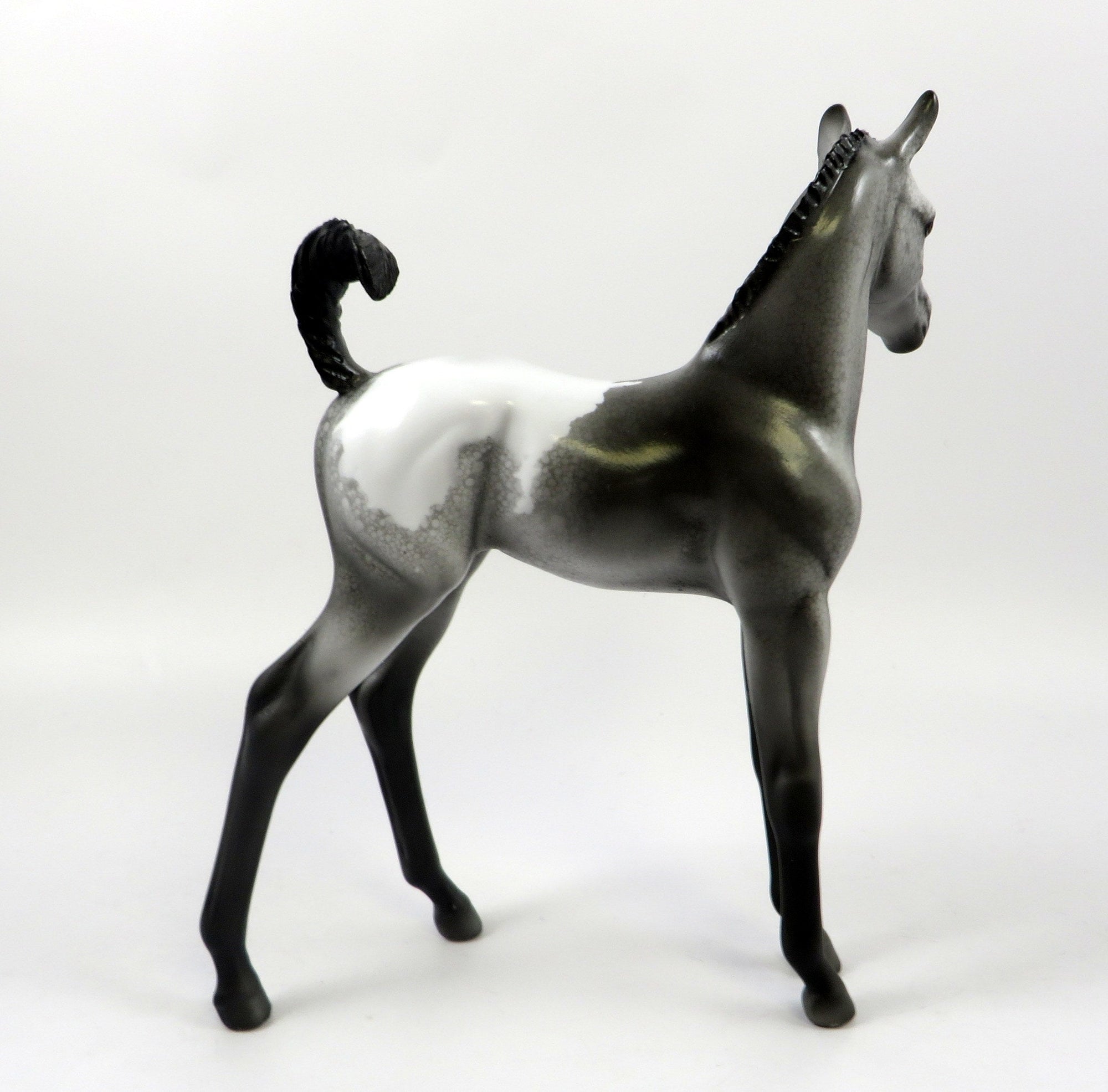 MAXIMA-OOAK NO SPOT APPALOOSA FOAL MODEL HORSE 8/5/19