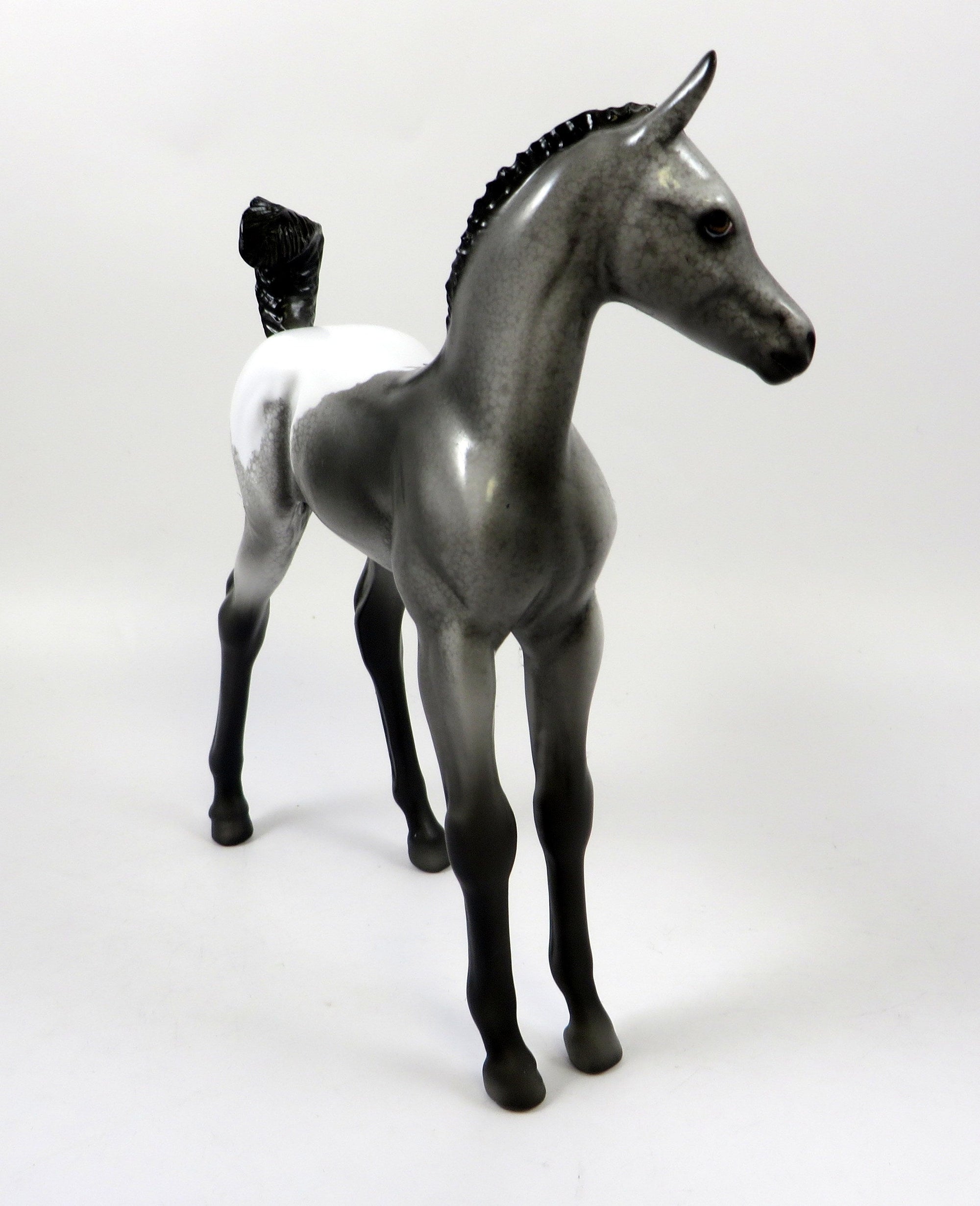 MAXIMA-OOAK NO SPOT APPALOOSA FOAL MODEL HORSE 8/5/19