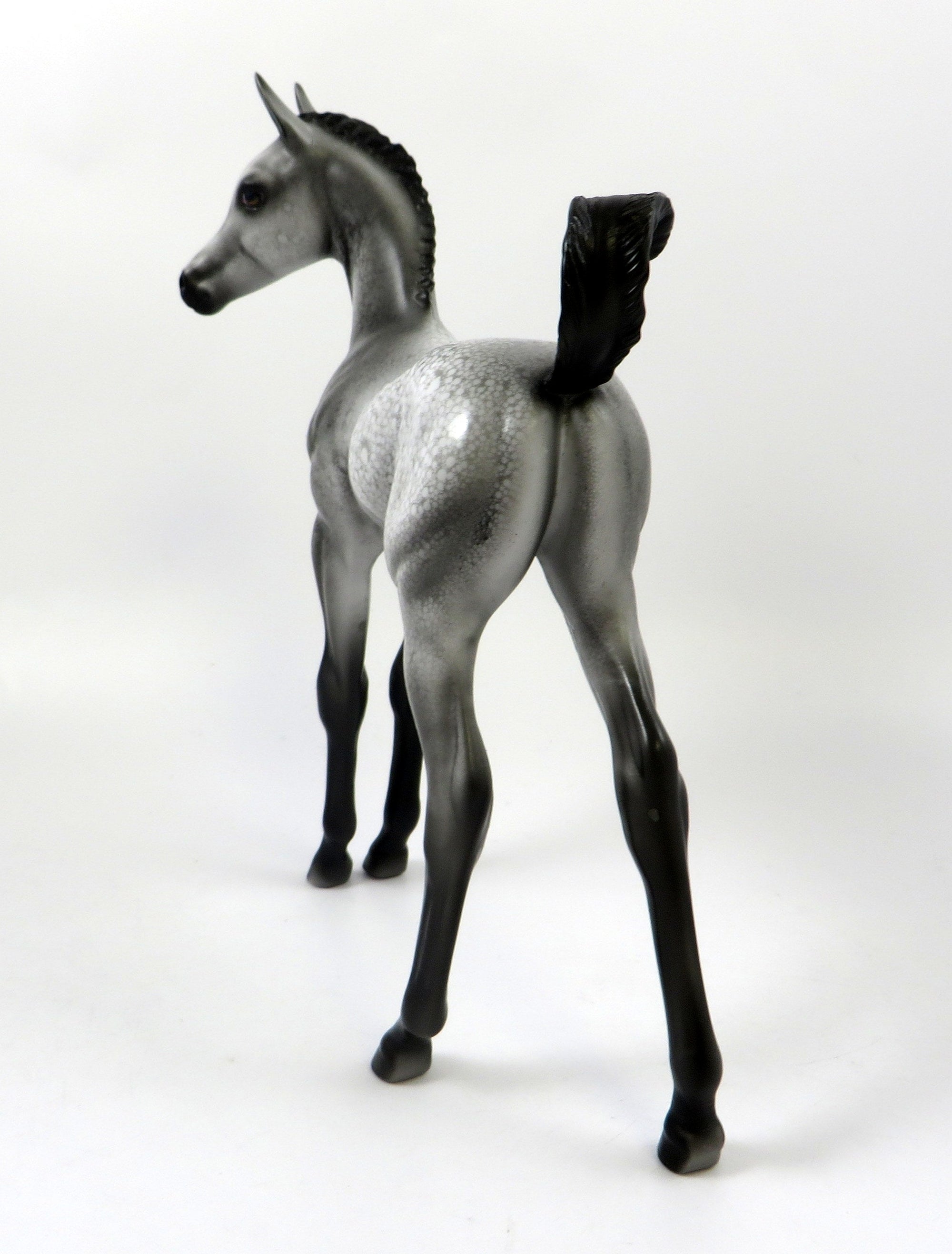 CANNONBALL-OOAK APPALOOSA FOAL MODEL HORSE BY DAWN QUICK 8/5/19