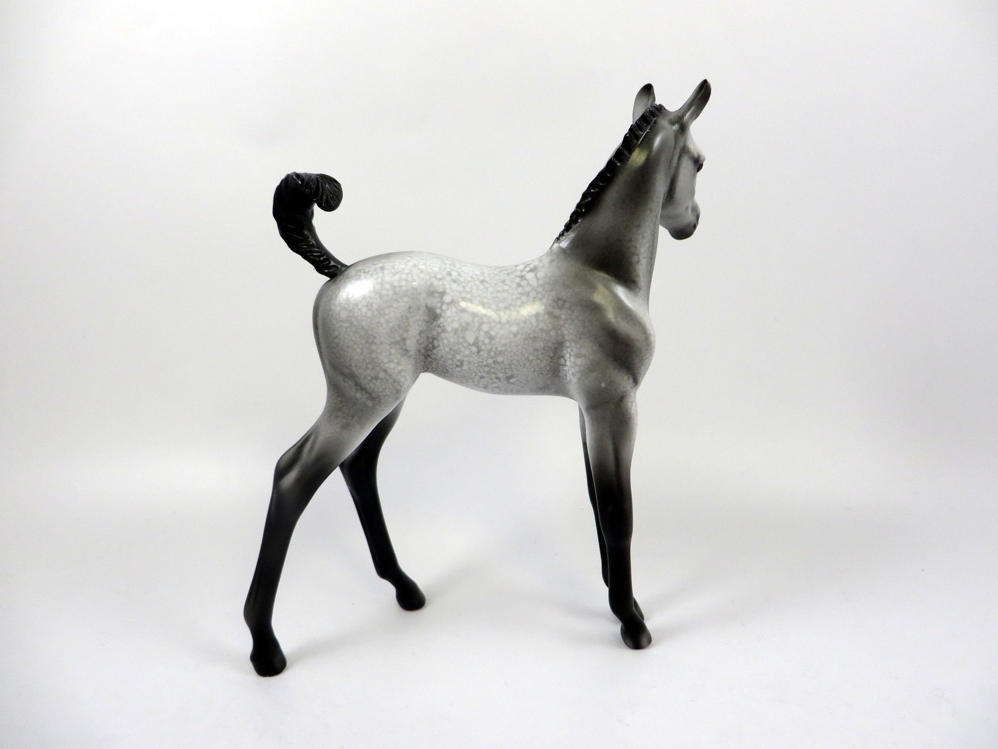 CANNONBALL-OOAK APPALOOSA FOAL MODEL HORSE BY DAWN QUICK 8/5/19