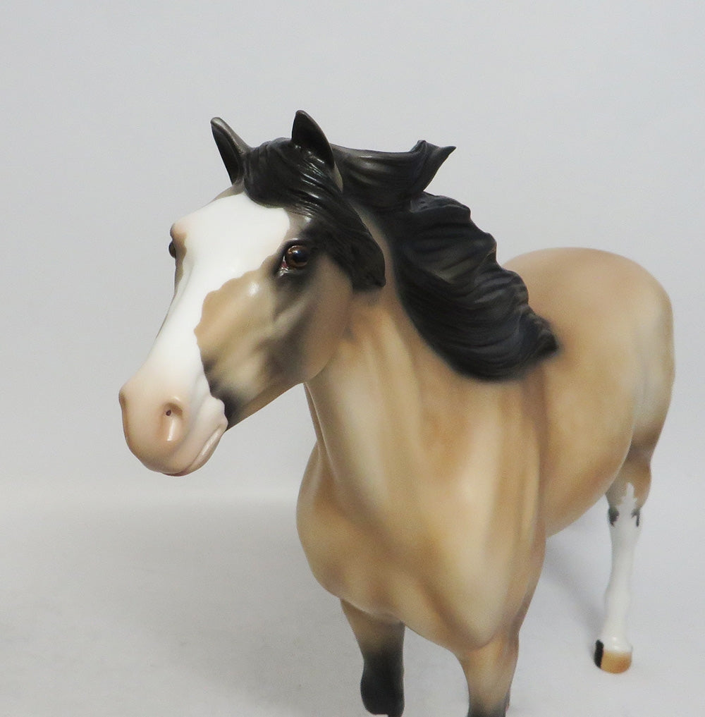 JOSEPH-OOAK DAPPLE BUCKSKIN MUSTANG WHS 2018