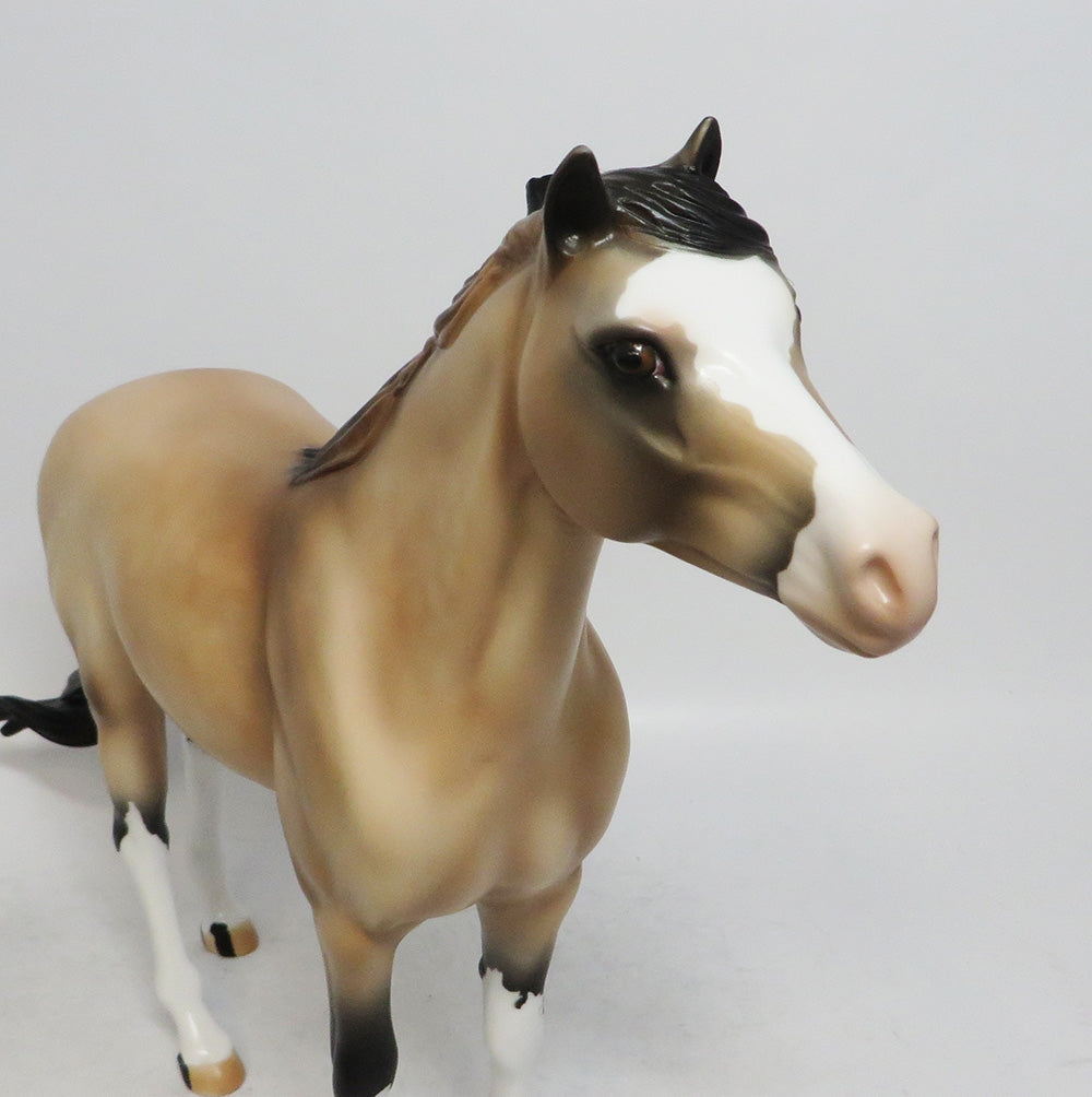 JOSEPH-OOAK DAPPLE BUCKSKIN MUSTANG WHS 2018