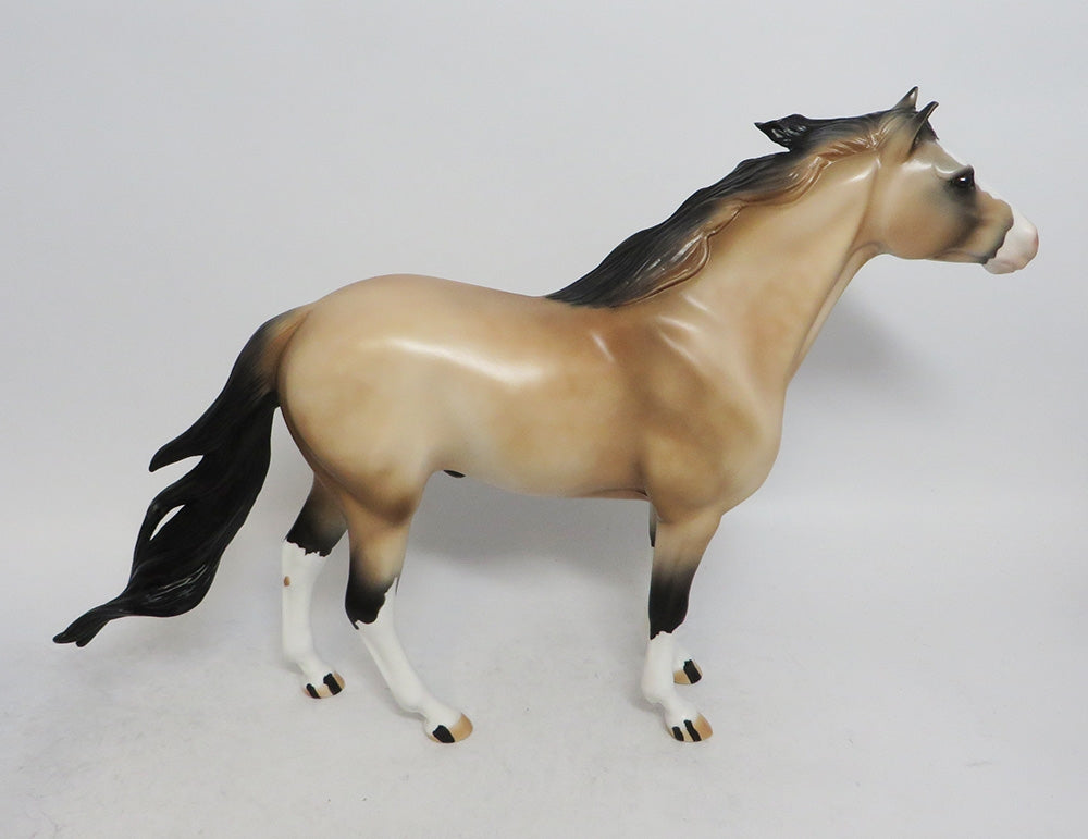 JOSEPH-OOAK DAPPLE BUCKSKIN MUSTANG WHS 2018