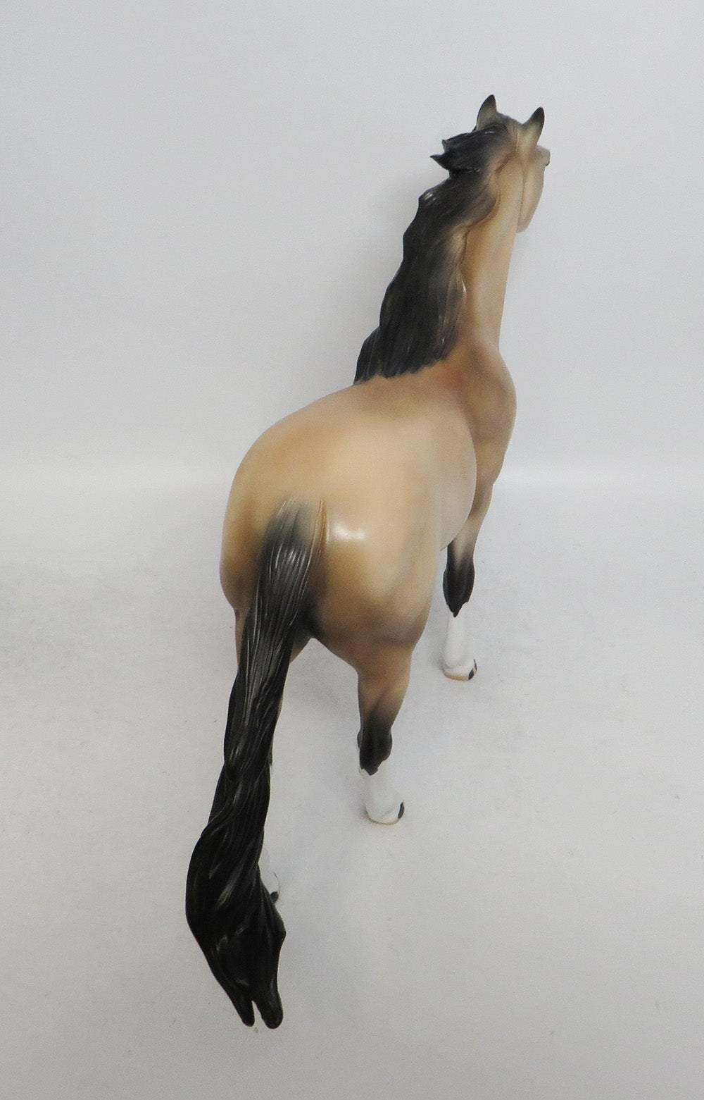 JOSEPH-OOAK DAPPLE BUCKSKIN MUSTANG WHS 2018