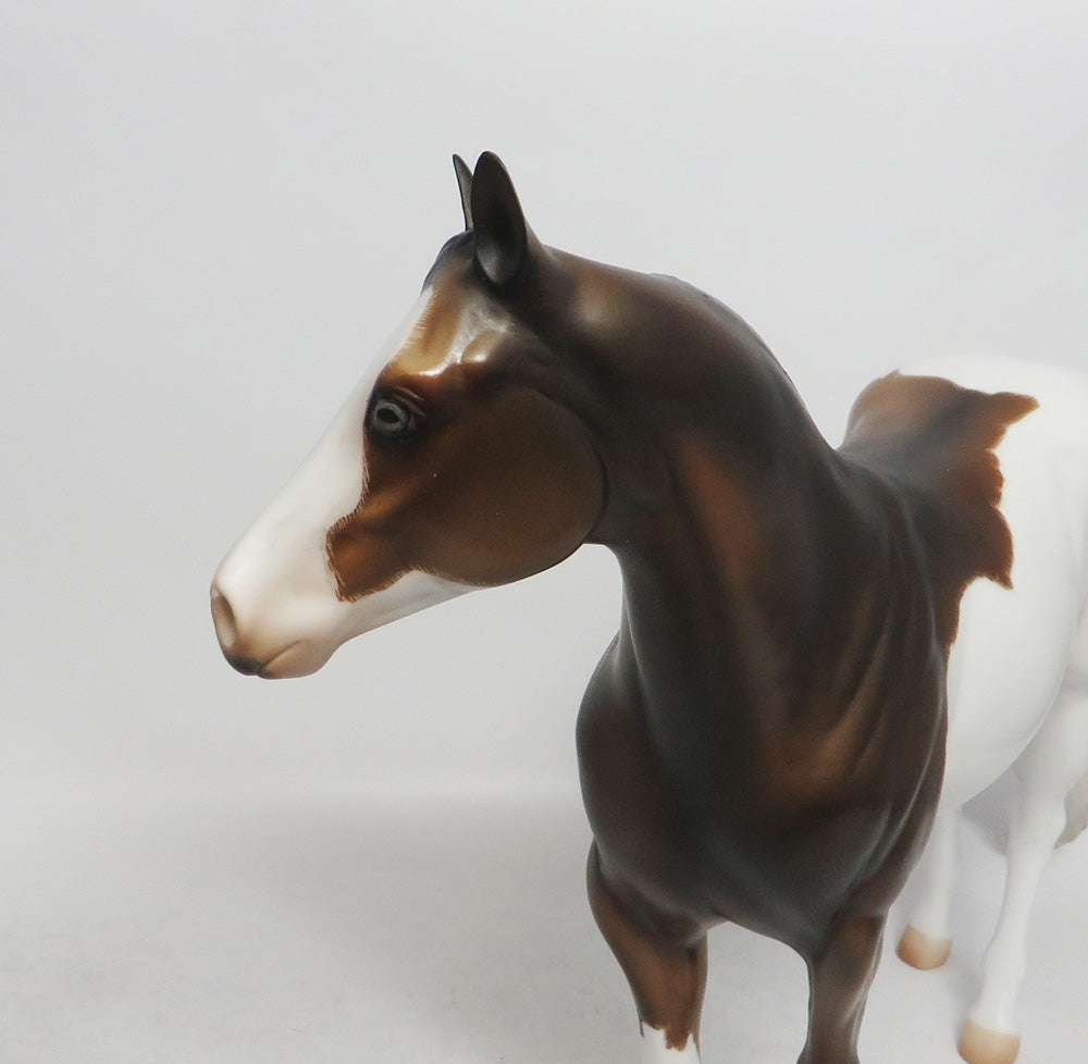 MOUSSE-OOAK DAPPLE BUCKSKIN PINTO ISH BY JULIE KEIM WHS 2018