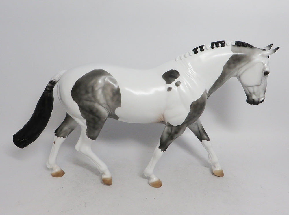 LUCIUS-LE-15 DAPPLE GREY PINTO IRISH DRAFT WHS 2018