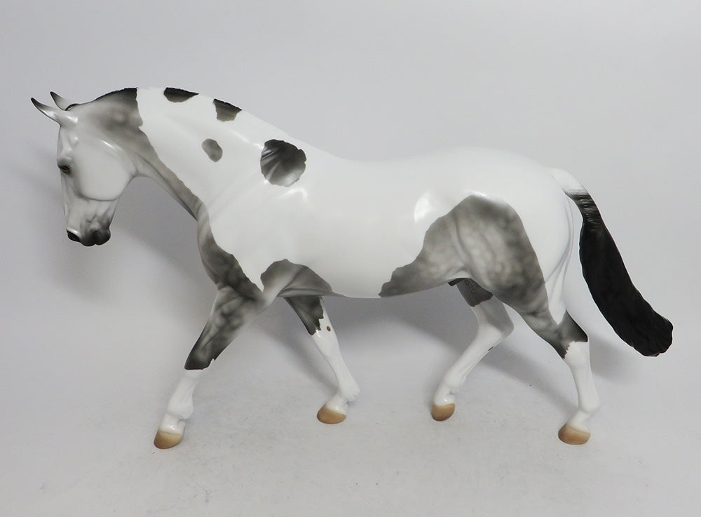 LUCIUS-LE-15 DAPPLE GREY PINTO IRISH DRAFT WHS 2018