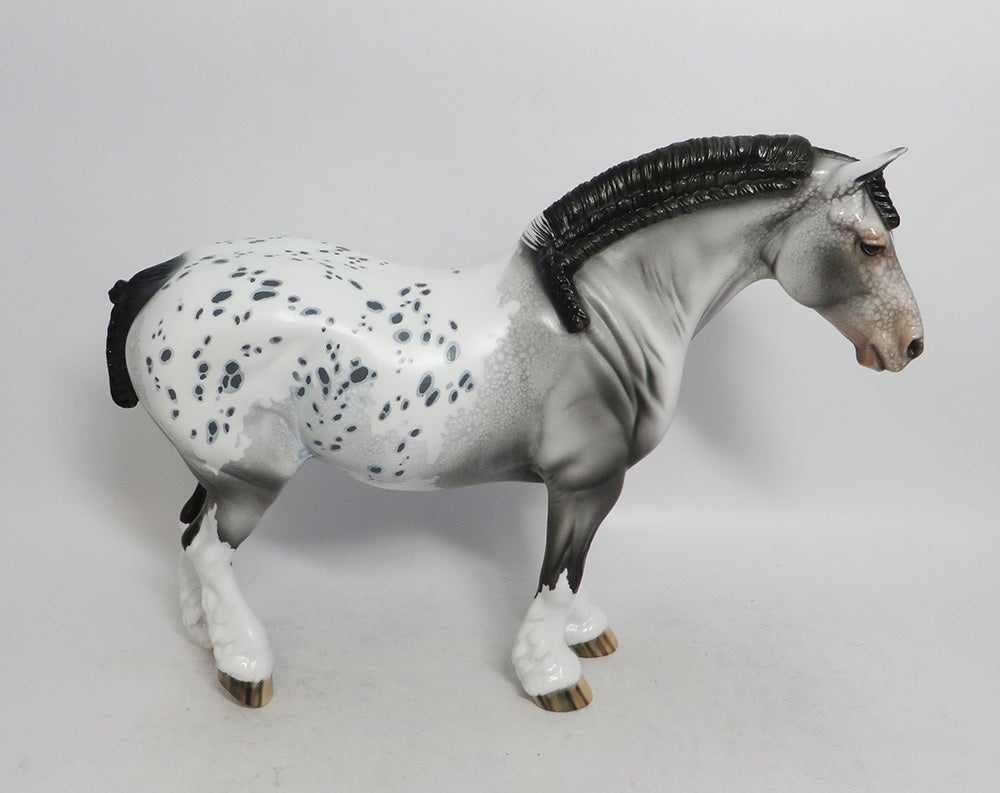 JINGLE BELLA-LE-3 APPALOOSA DRAFT MARE WITH BRAIDED MANE AND TAIL WHS 2018