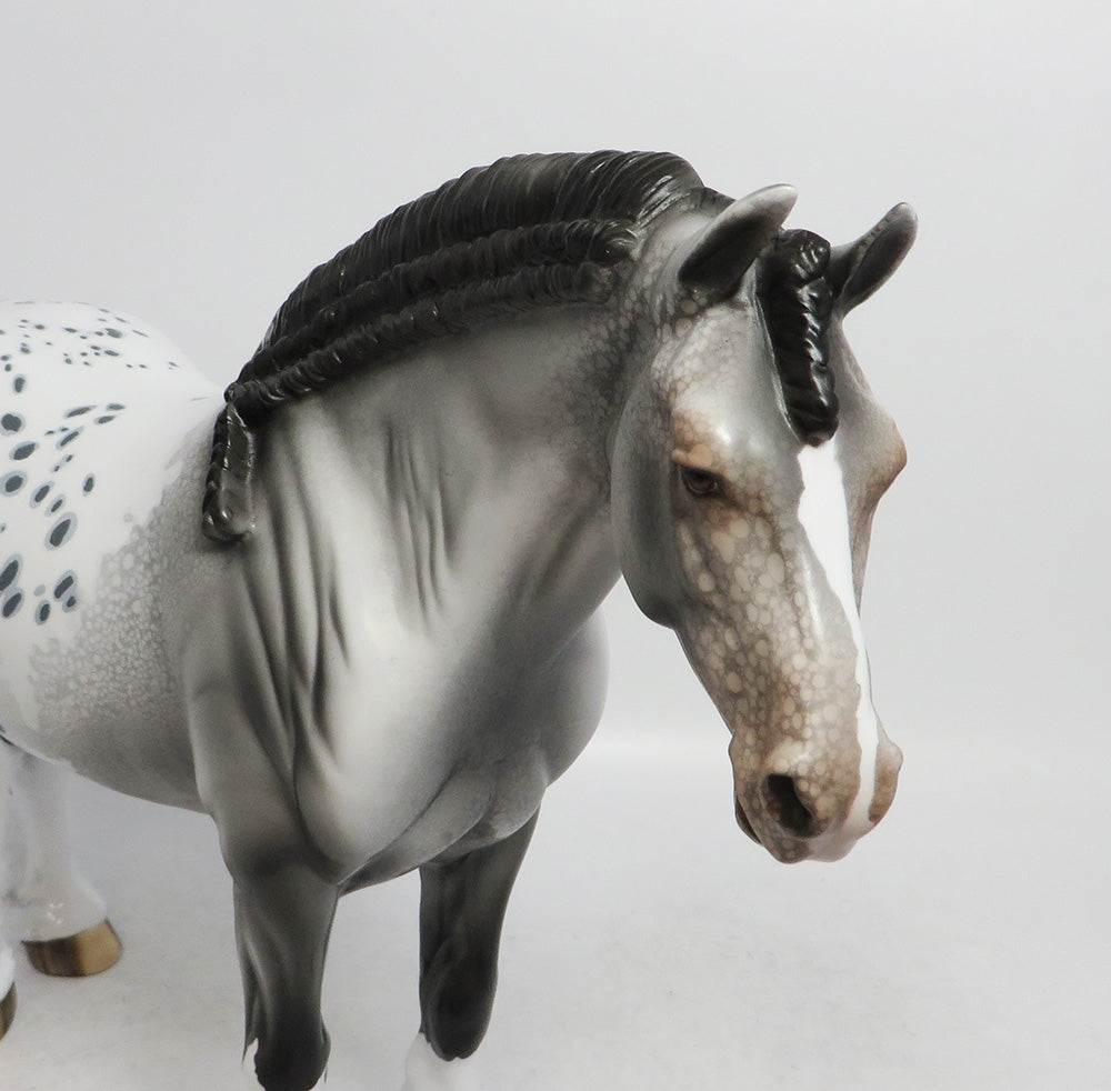 JINGLE BELLA-LE-3 APPALOOSA DRAFT MARE WITH BRAIDED MANE AND TAIL WHS 2018