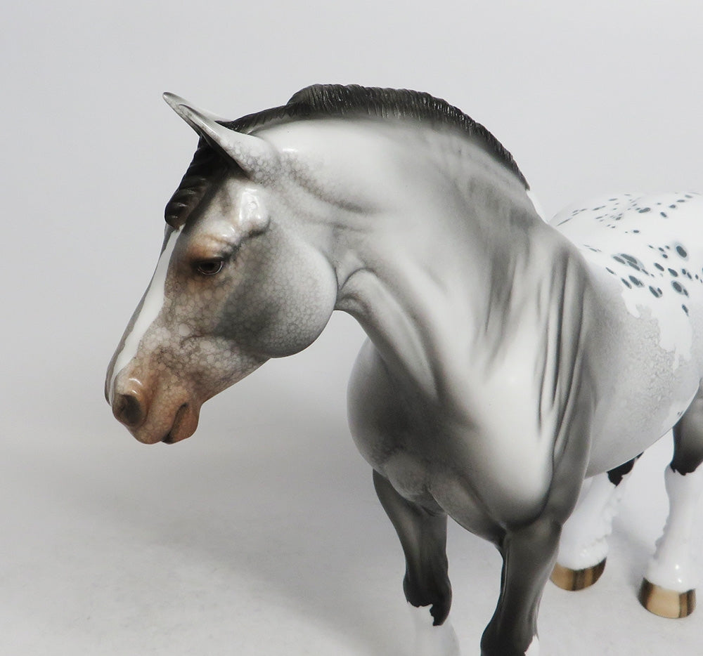 JINGLE BELLA-LE-3 APPALOOSA DRAFT MARE WITH BRAIDED MANE AND TAIL WHS 2018