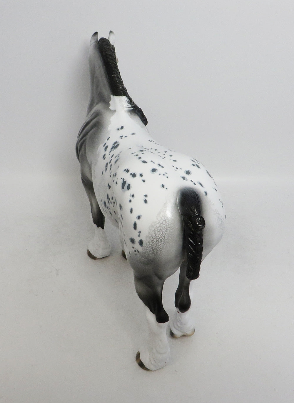 JINGLE BELLA-LE-3 APPALOOSA DRAFT MARE WITH BRAIDED MANE AND TAIL WHS 2018