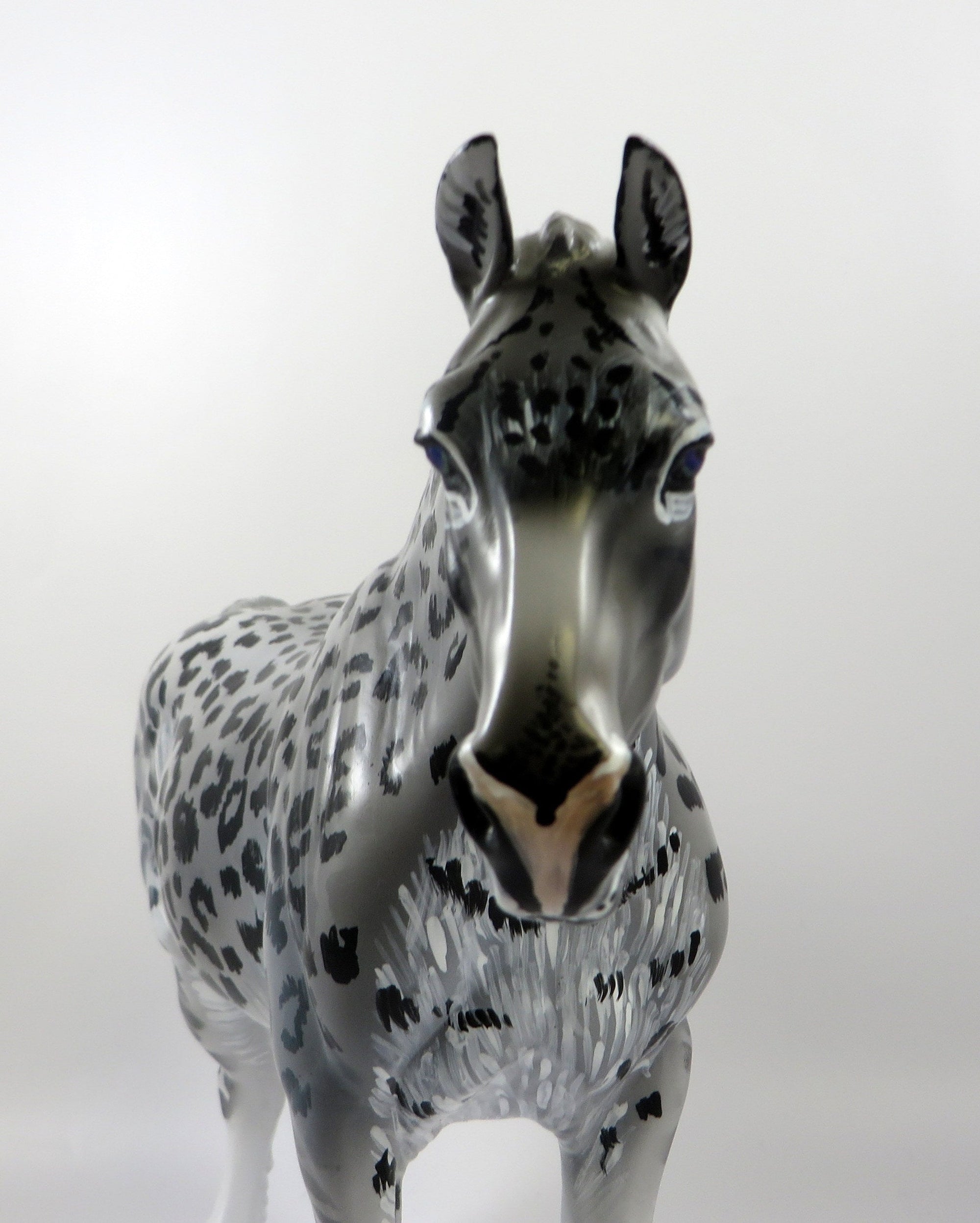 SNOWY-SNOW LEOPARD HEAVY DRAFT MARE BY DAWN QUICK LHS 19