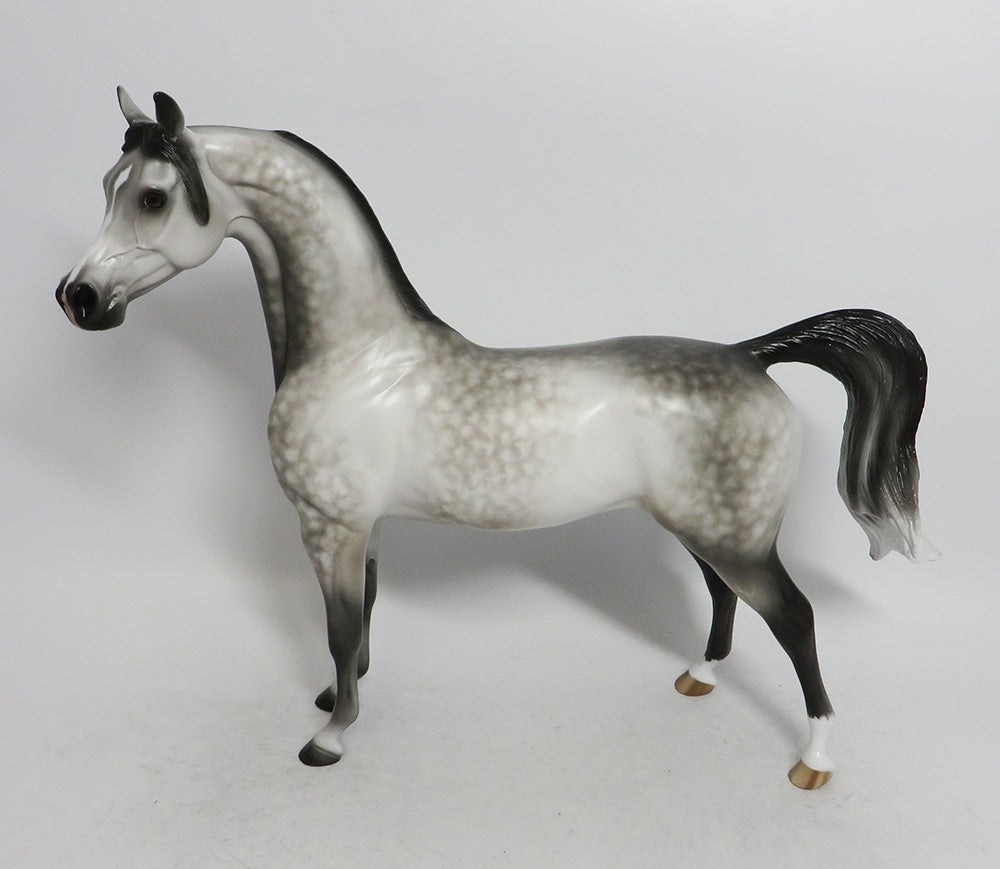 PARKER - OOAK GREY DAPPLED ARABIAN BY SHERYL LEISURE