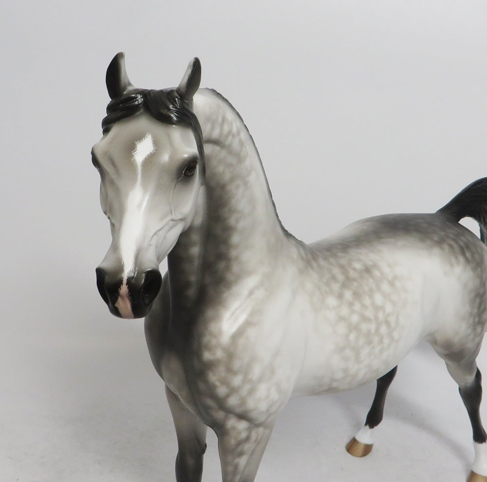 PARKER - OOAK GREY DAPPLED ARABIAN BY SHERYL LEISURE