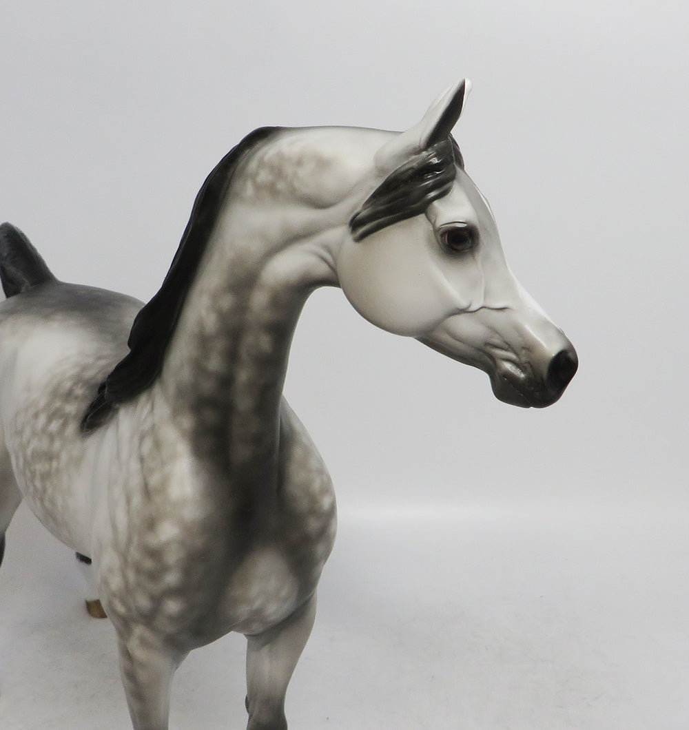 PARKER - OOAK GREY DAPPLED ARABIAN BY SHERYL LEISURE