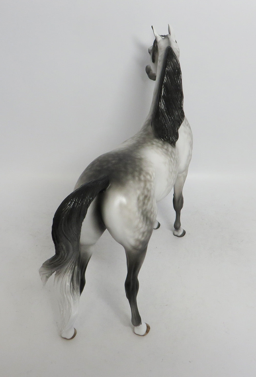 PARKER - OOAK GREY DAPPLED ARABIAN BY SHERYL LEISURE