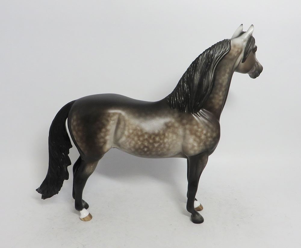 UNCLE BILLY- OOAK BAY GOING GREY MORGAN BY SHERYL LEISURE