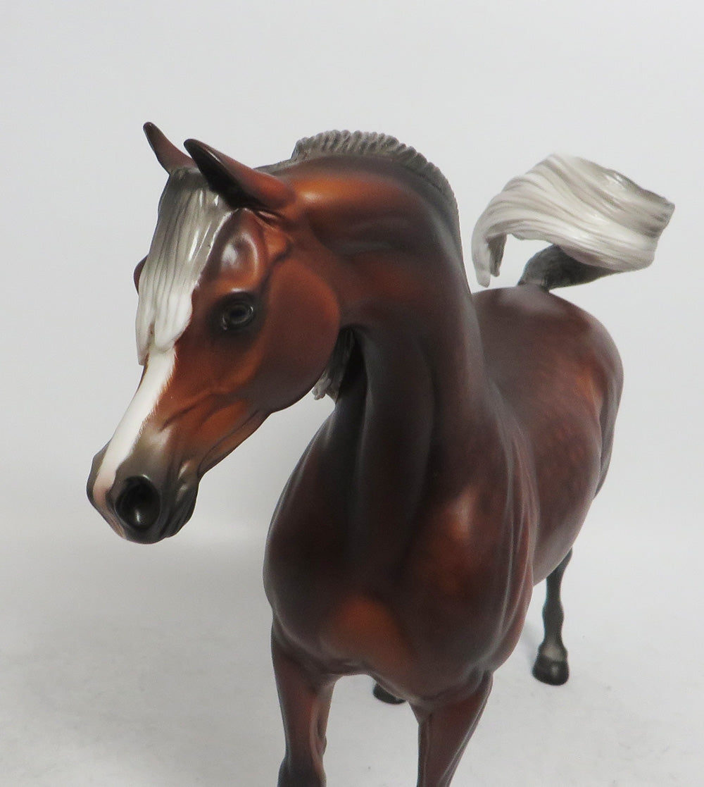 DAVIS- OOAK SILVER BAY ARABIAN BY SHERYL LEISURE