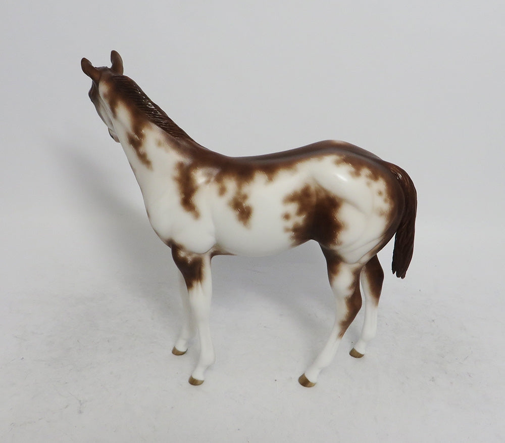 BETTY-OOAK ETHCED CHESTNUT SABINO WEANLING MODEL HORSE BY SHERYL LEISURE WHS 2018