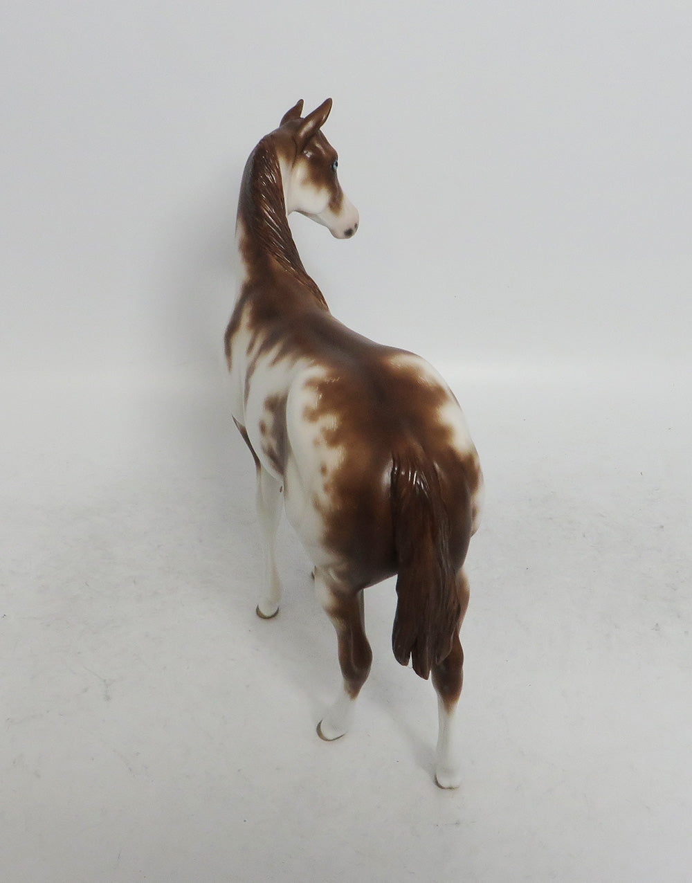 BETTY-OOAK ETHCED CHESTNUT SABINO WEANLING MODEL HORSE BY SHERYL LEISURE WHS 2018