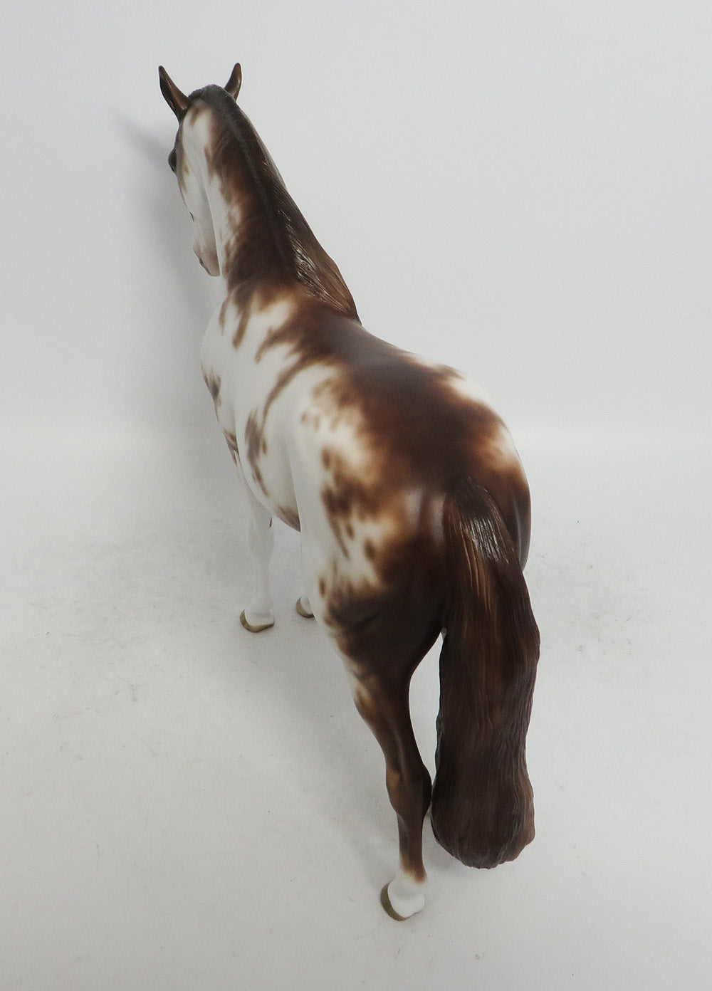 NOLVELLO-OOAK CHESTNUT SABINO ANDALUSIAN BY SHERYL LEISURE WHS 2018