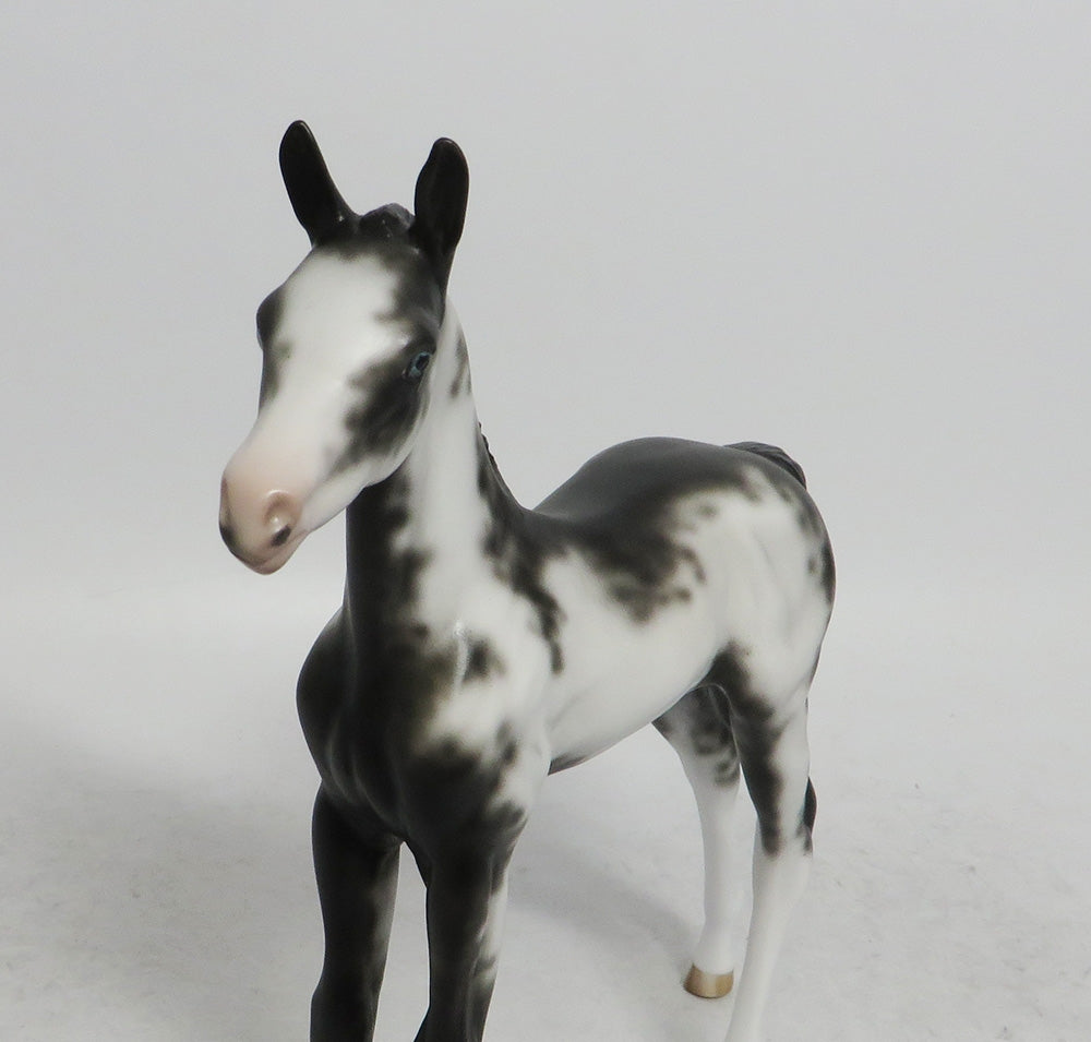 VERA-OOAK BLACK SABINO FOAL MODEL HORSE BY SHERYL LEISURE WHS 201