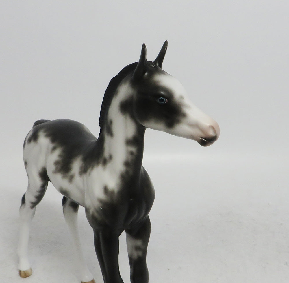 VERA-OOAK BLACK SABINO FOAL MODEL HORSE BY SHERYL LEISURE WHS 201