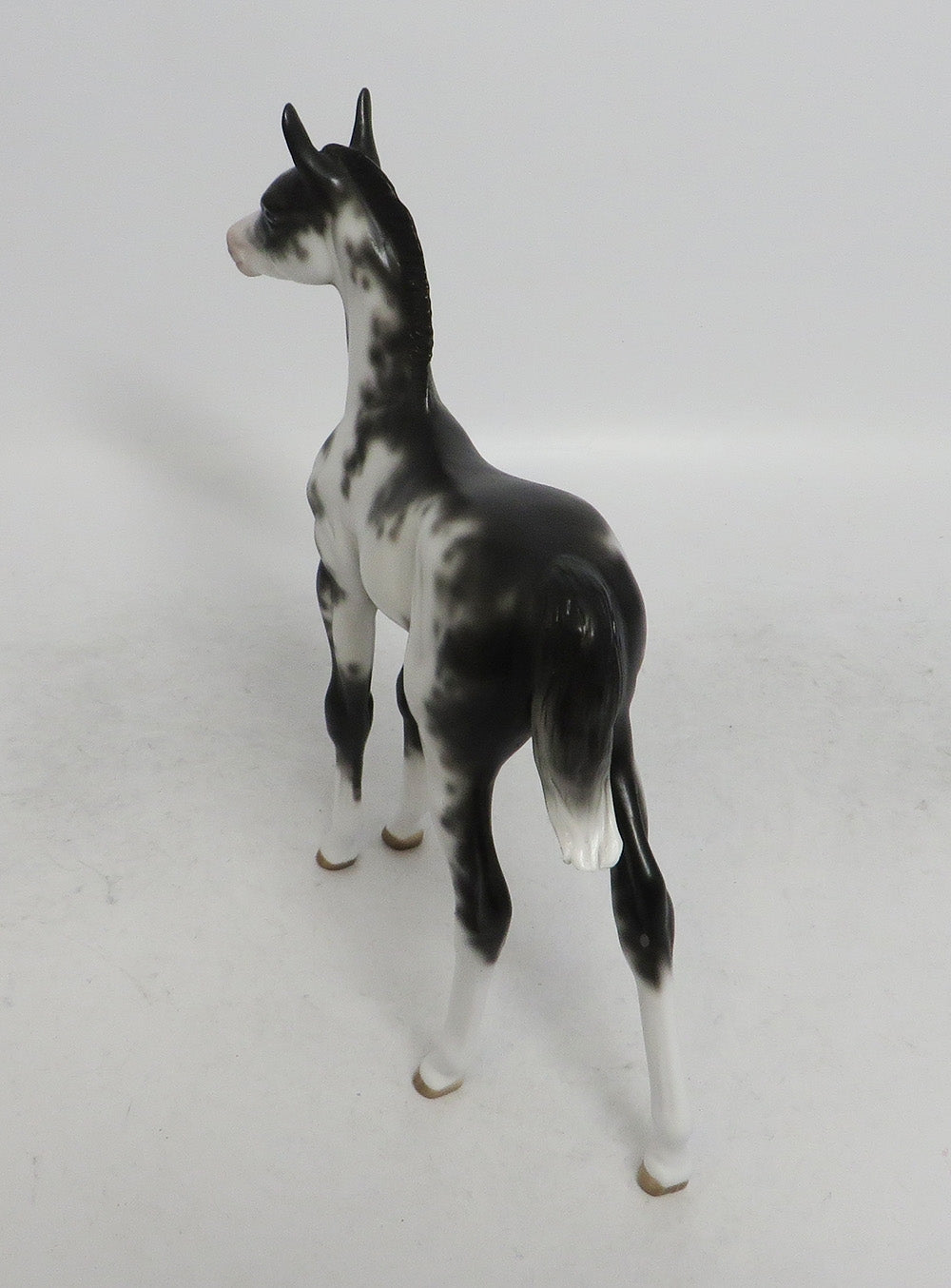VERA-OOAK BLACK SABINO FOAL MODEL HORSE BY SHERYL LEISURE WHS 201